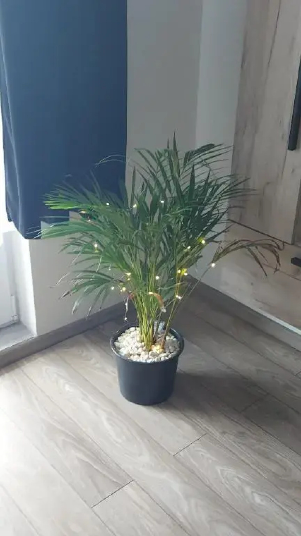 Apartament AntoniaS