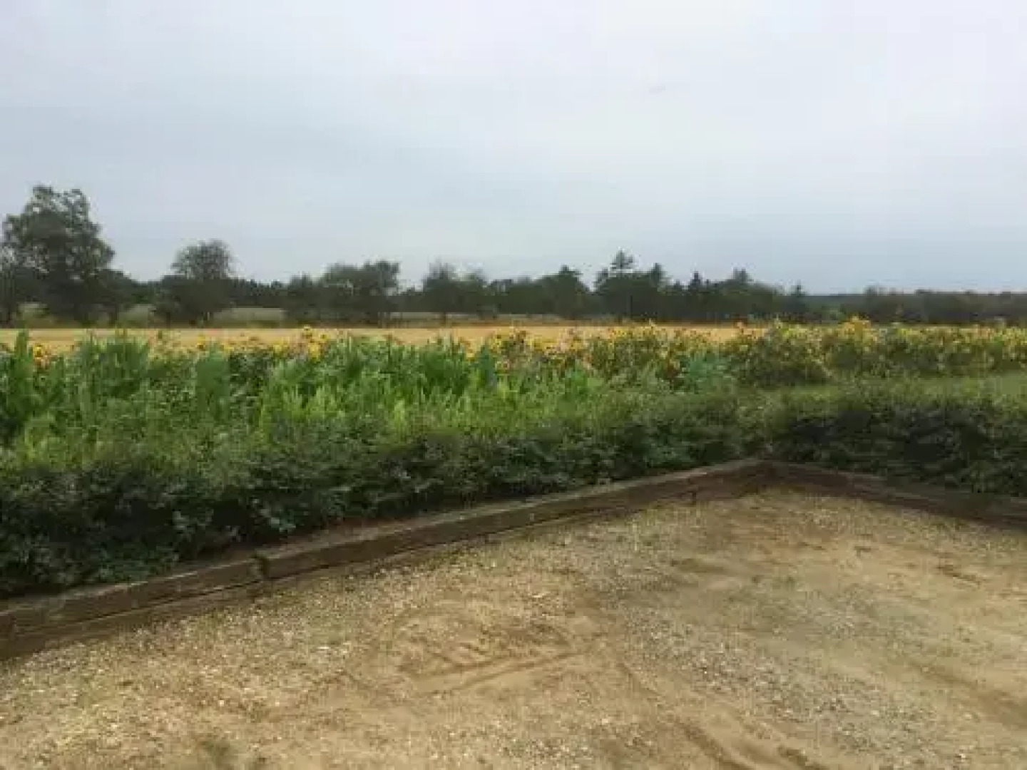 Kratgaardens Apartment