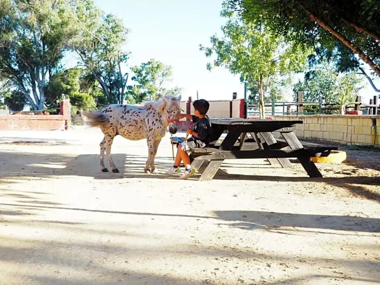 Posada Rural La Corbera