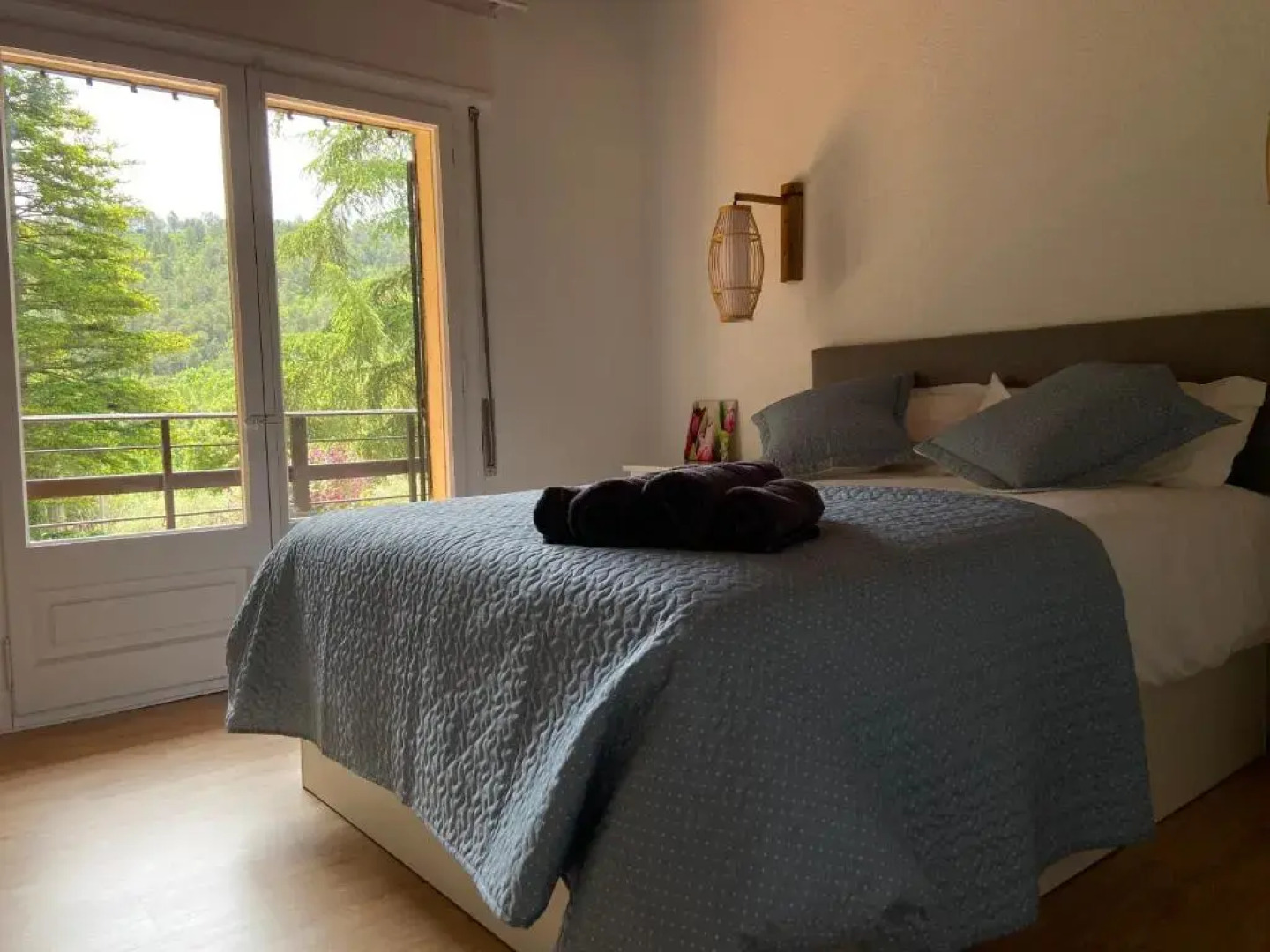 Els Avets De La Muga