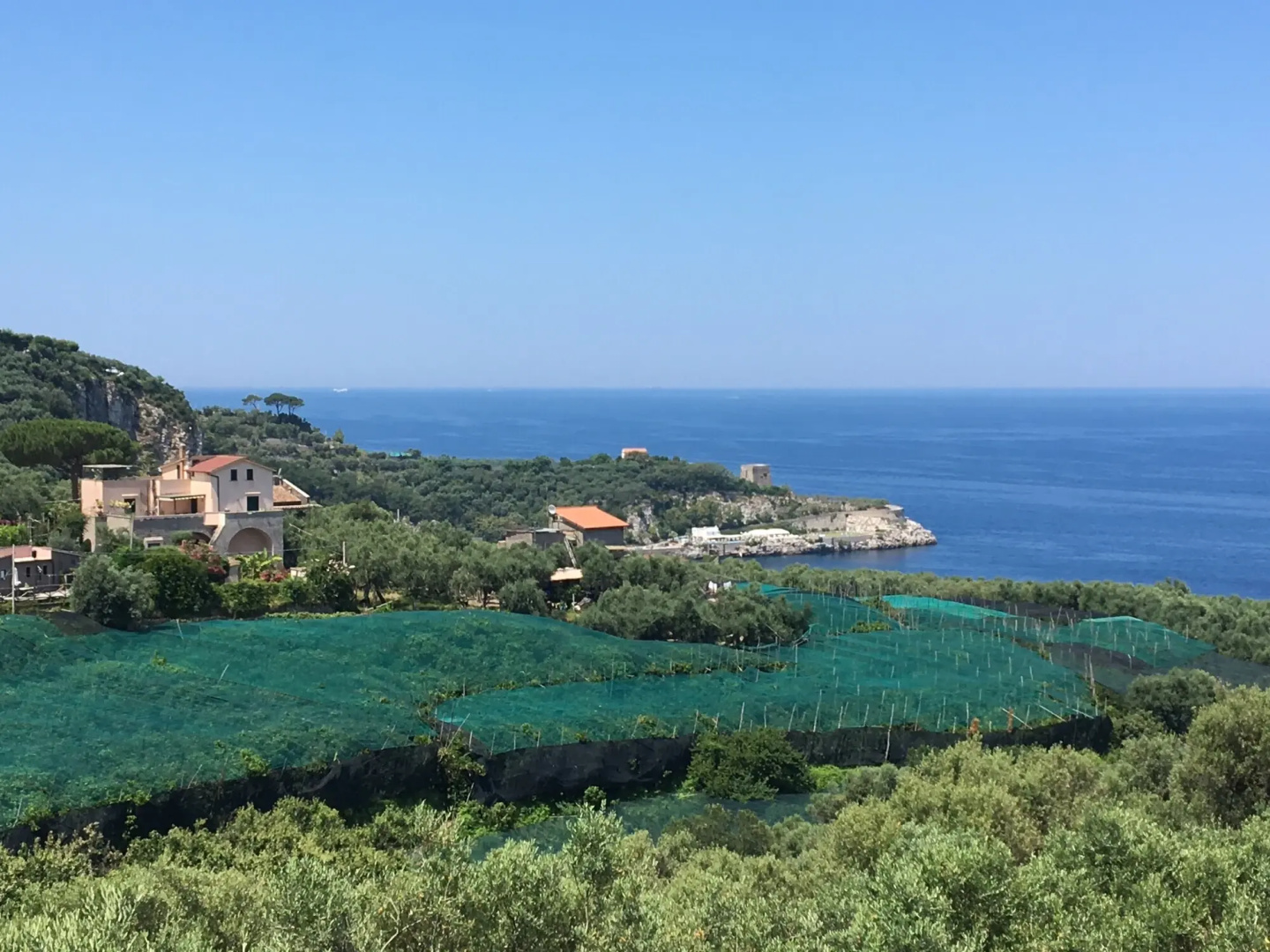 Hotel Dania