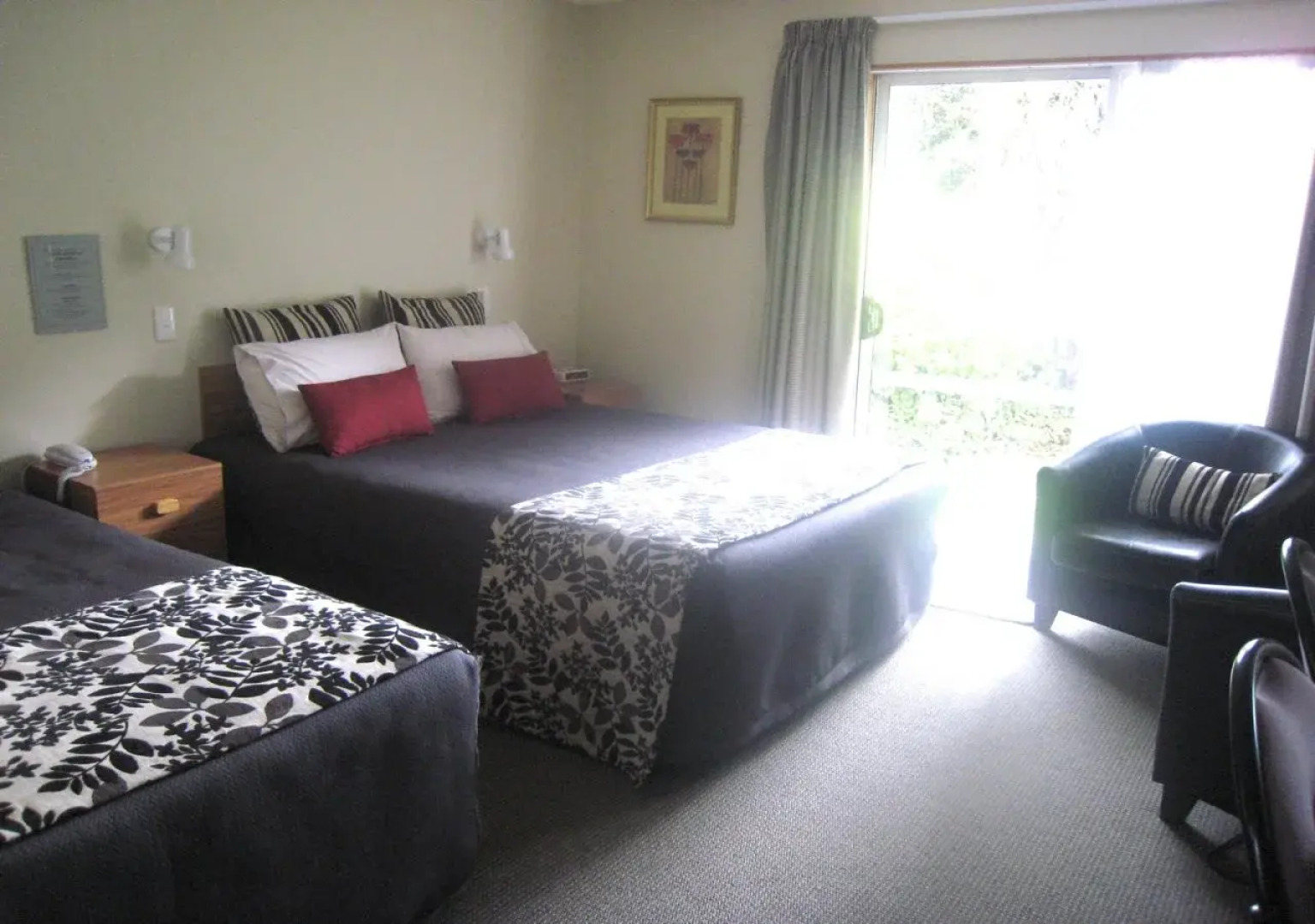 Buller Court on Palmerston