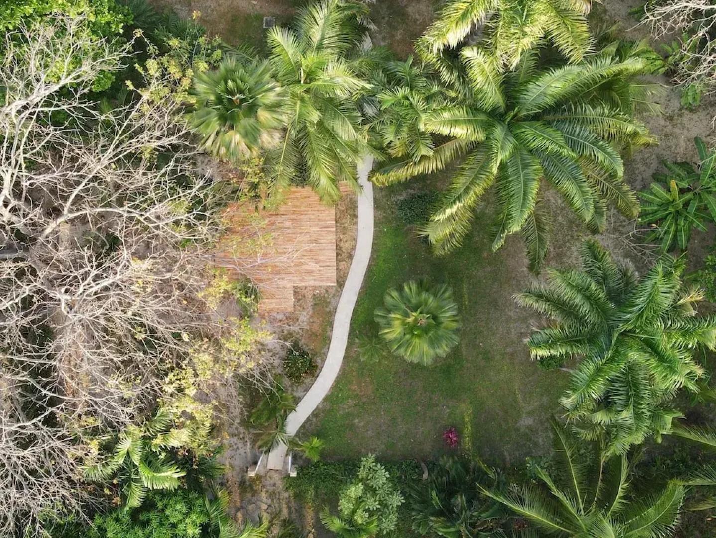 Paradise Beach Lodge