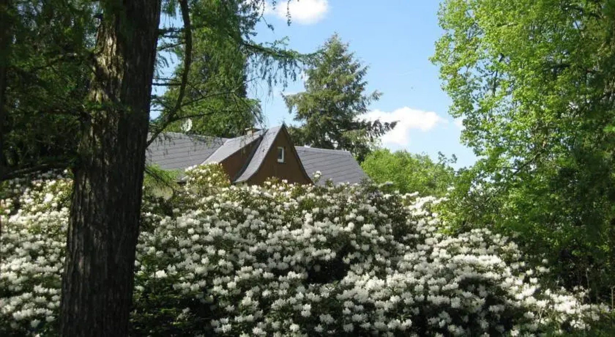 Ferienhaus Sperlingsruh