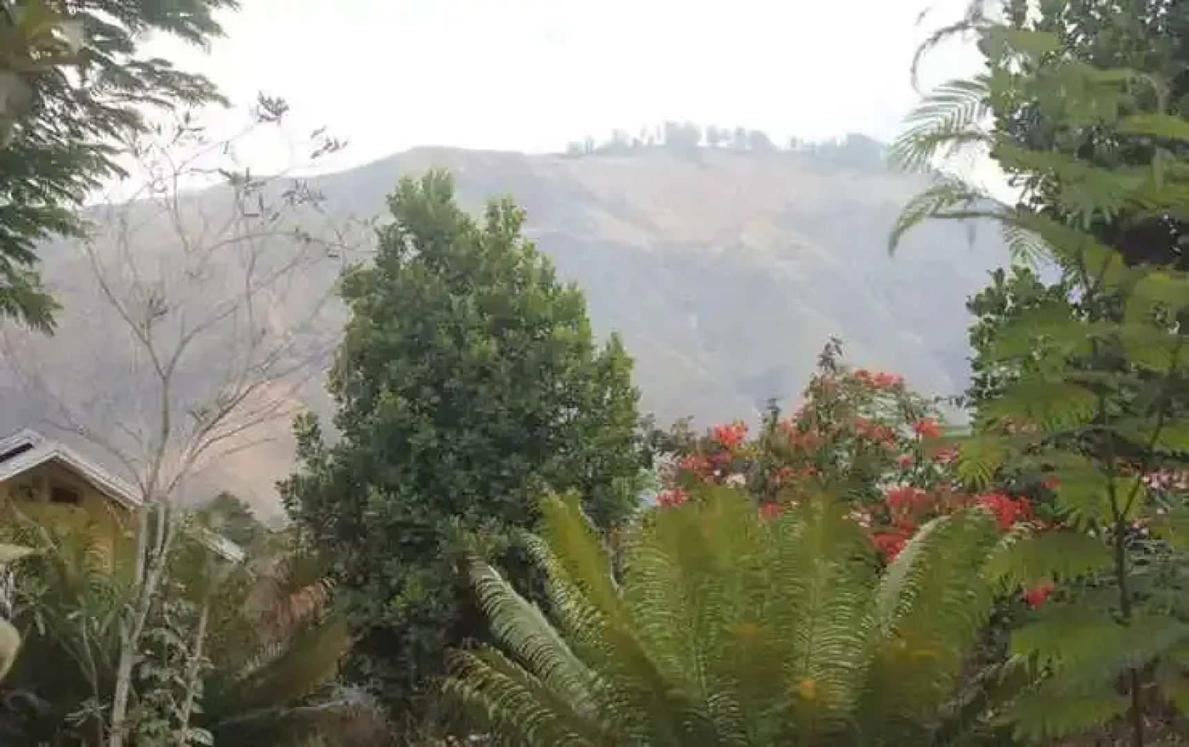 Maria Guesthouse