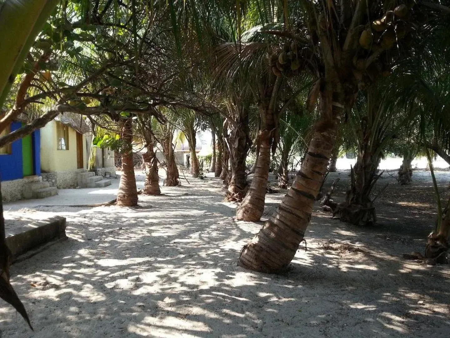 Cabanas Camping Ria Celestun