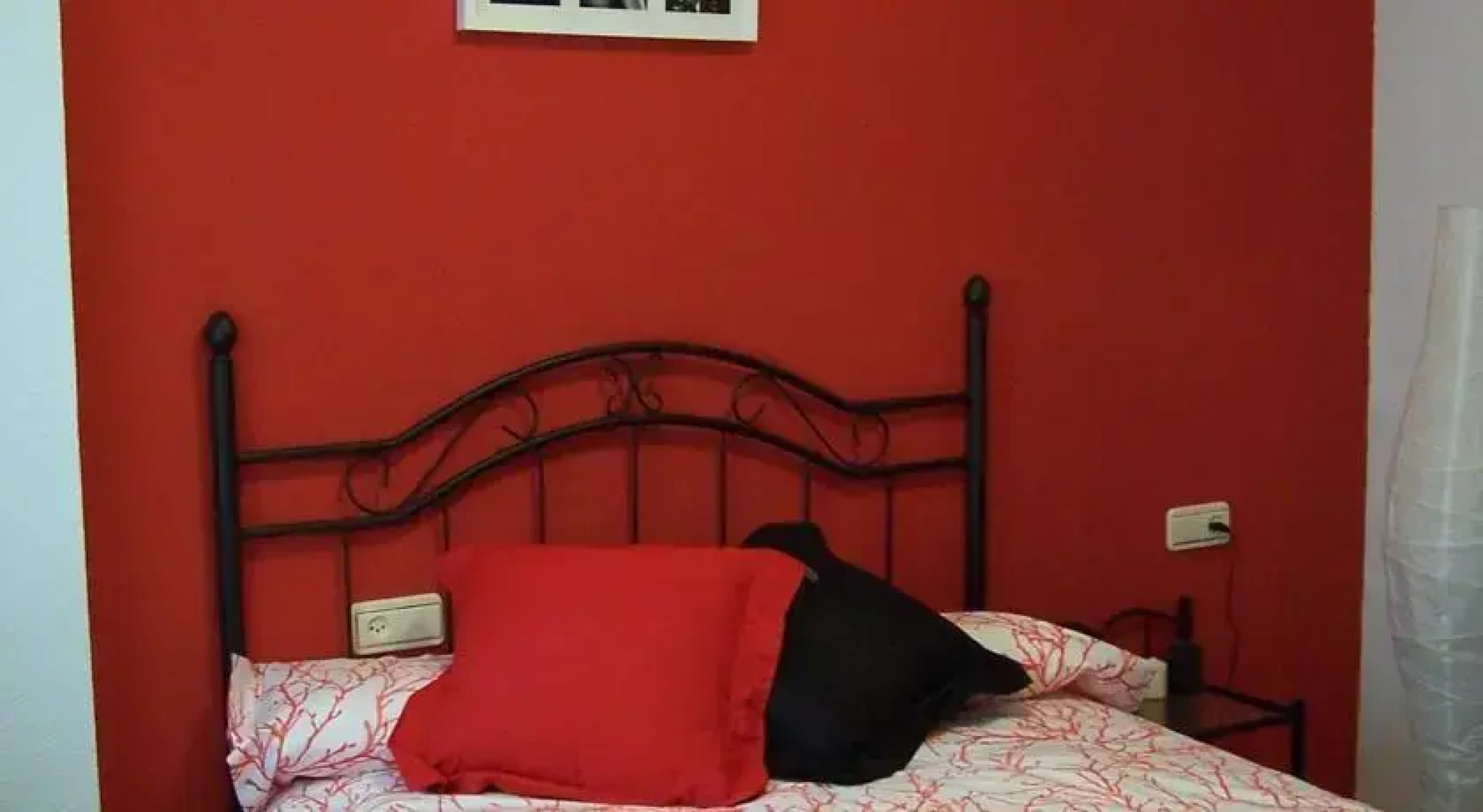 B&B Pensión El Hayedo de Moncayo