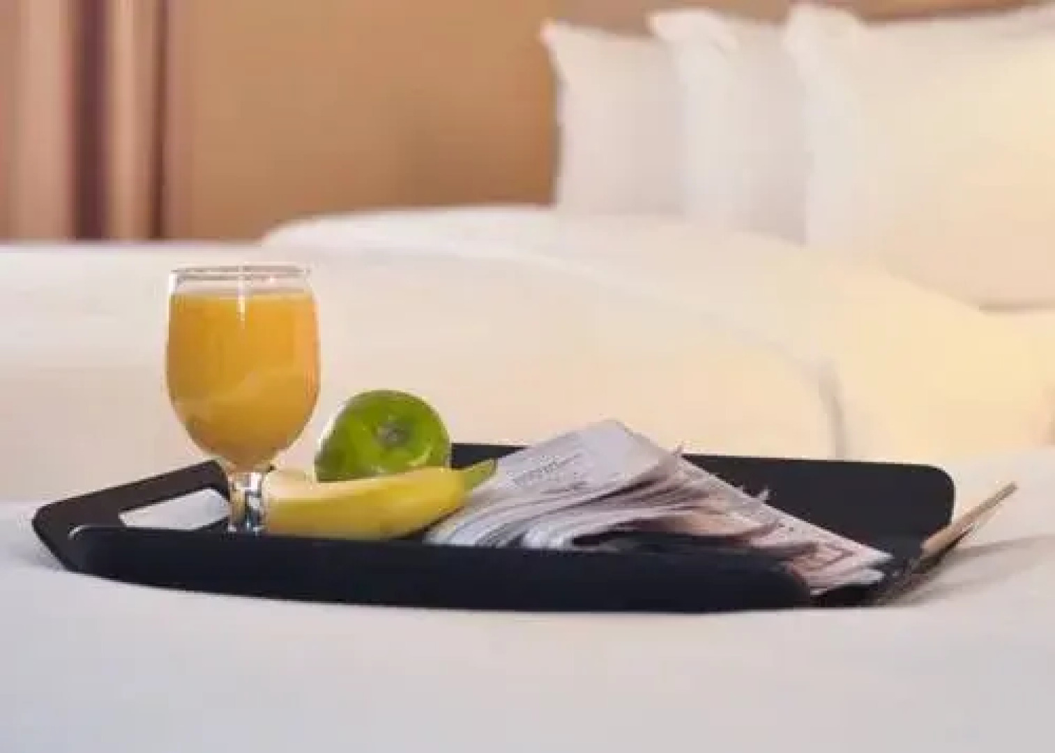 Millennium Hotel St. Louis