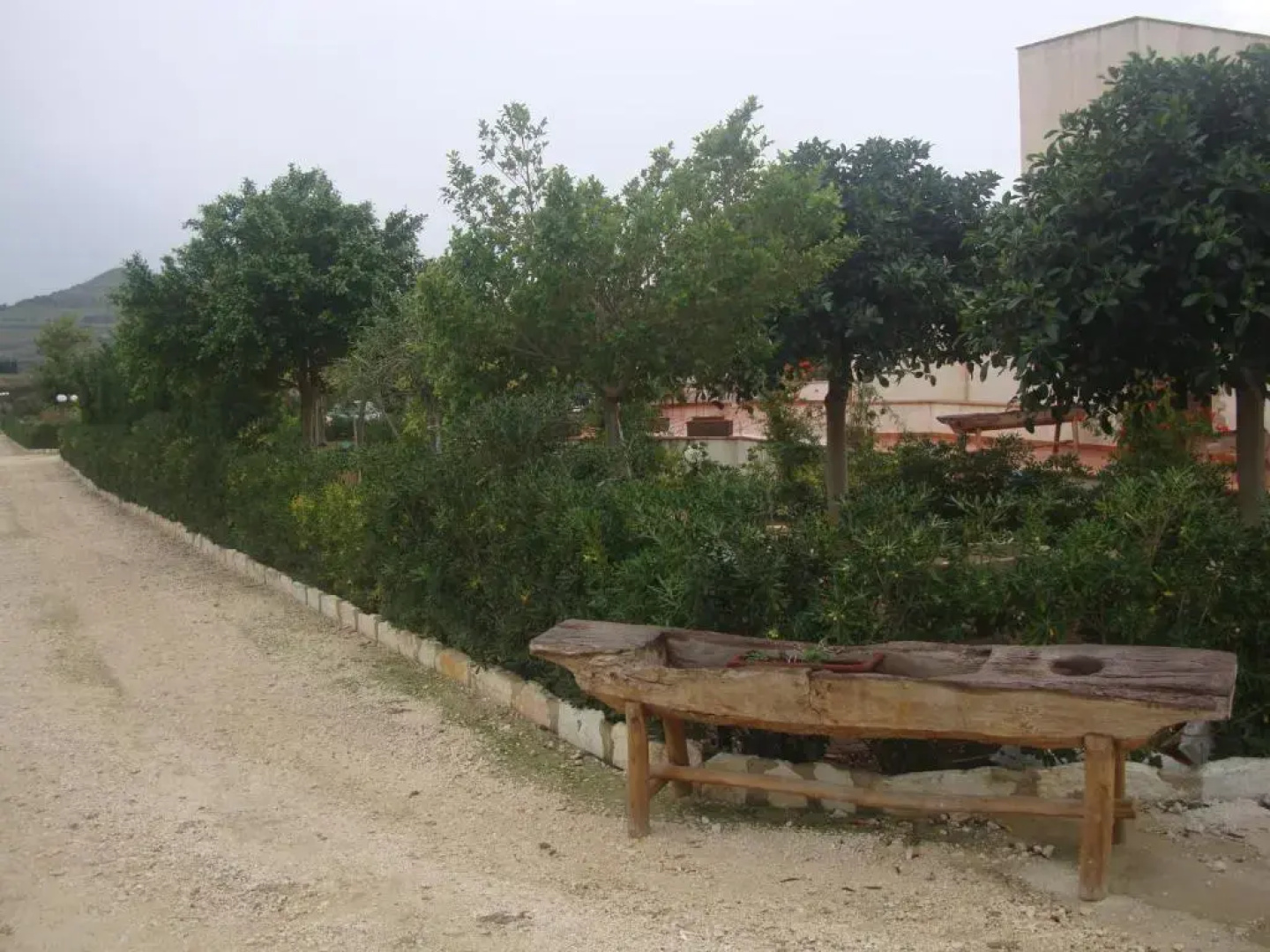 Villa Delle Palme Delfina