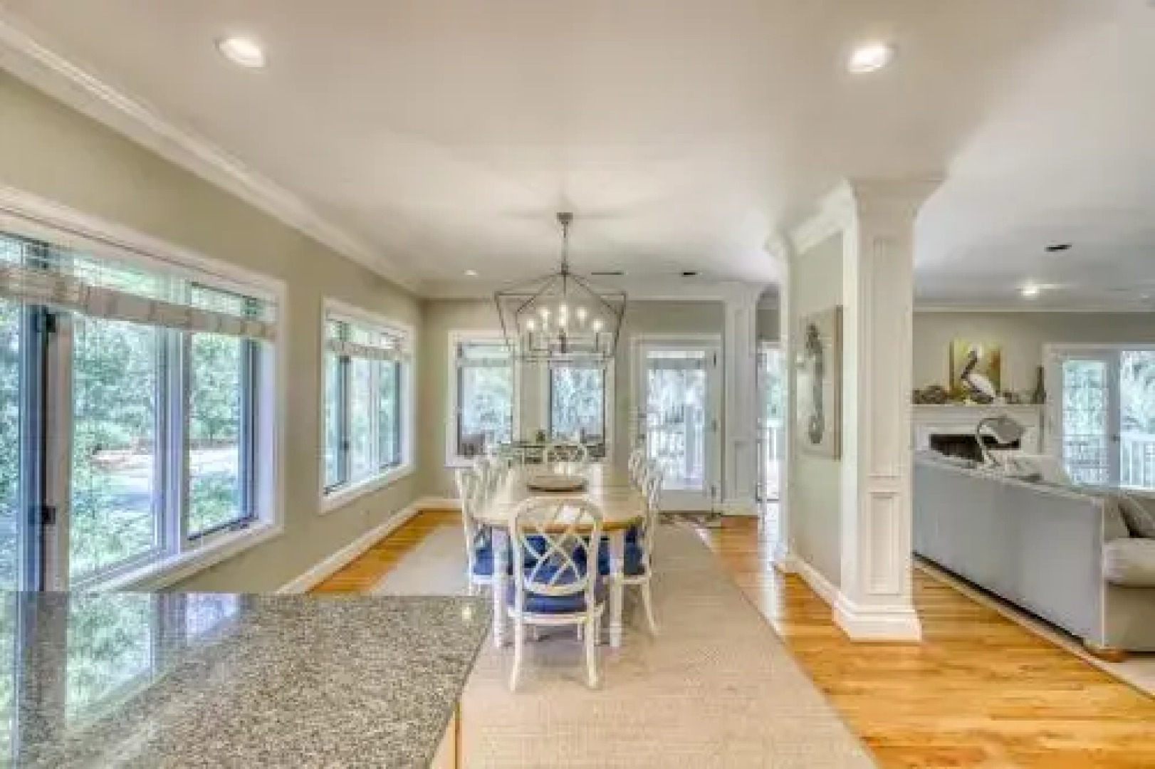 207 Belted Kingfisher