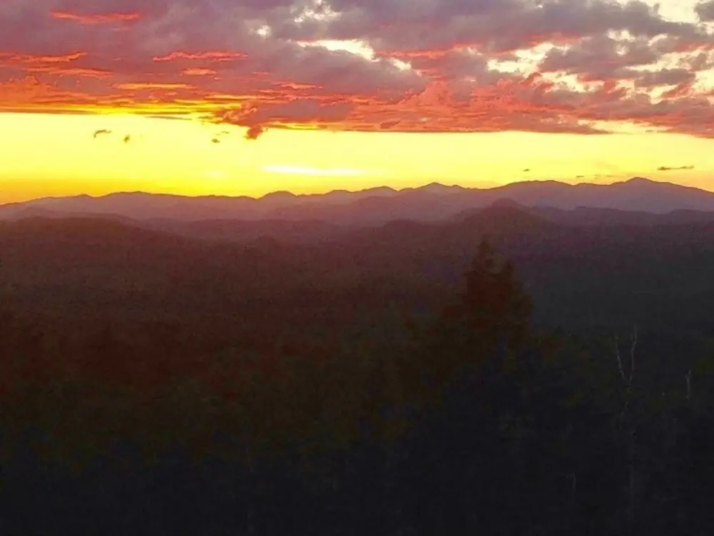 Tentrr - the Look Out at Chill Hill