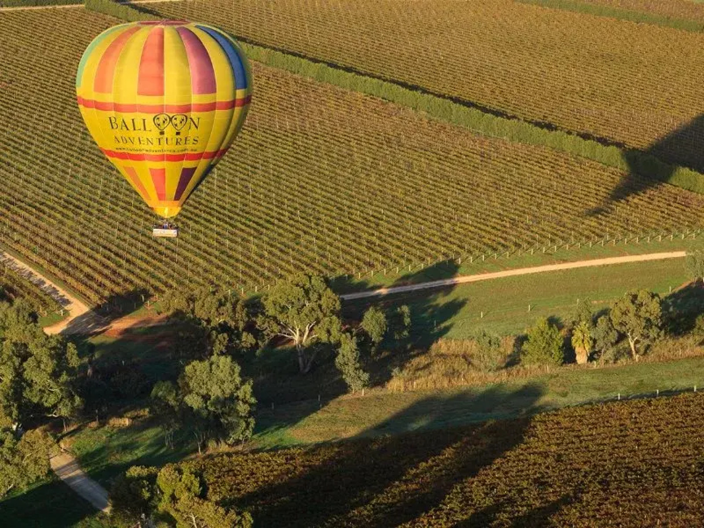 Collingrove Homestead