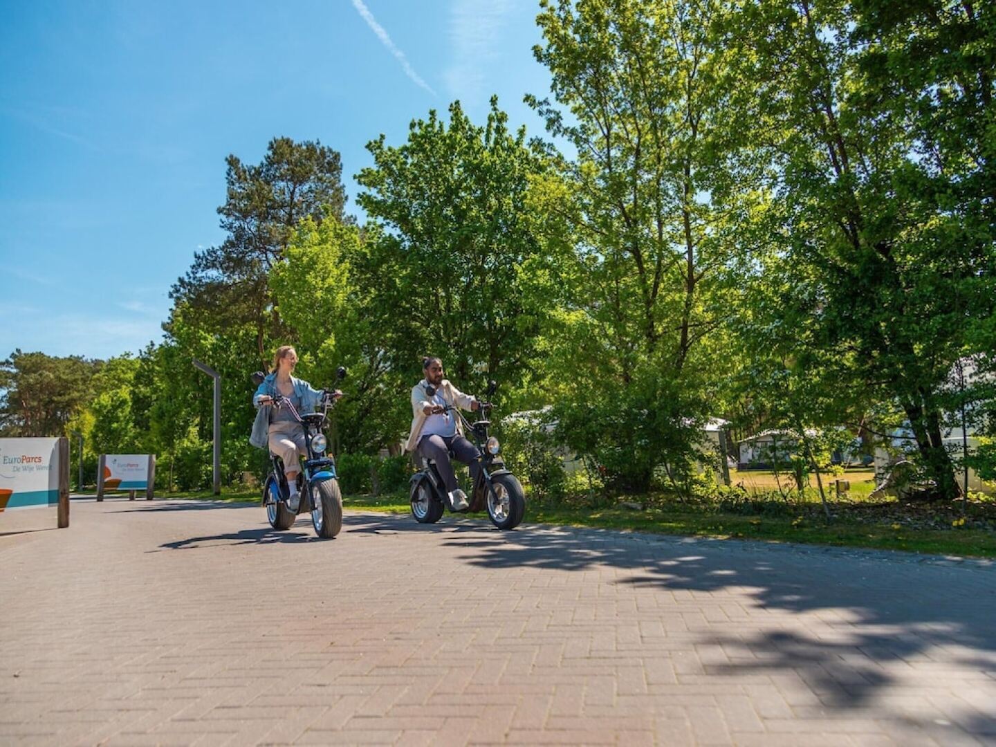 Wooden Chalet with Dishwasher near De Veluwe National Park