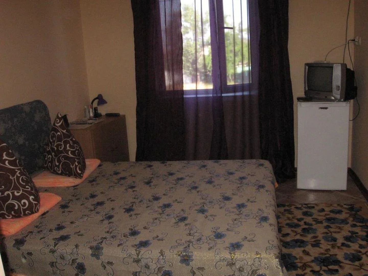 Hotel Lev