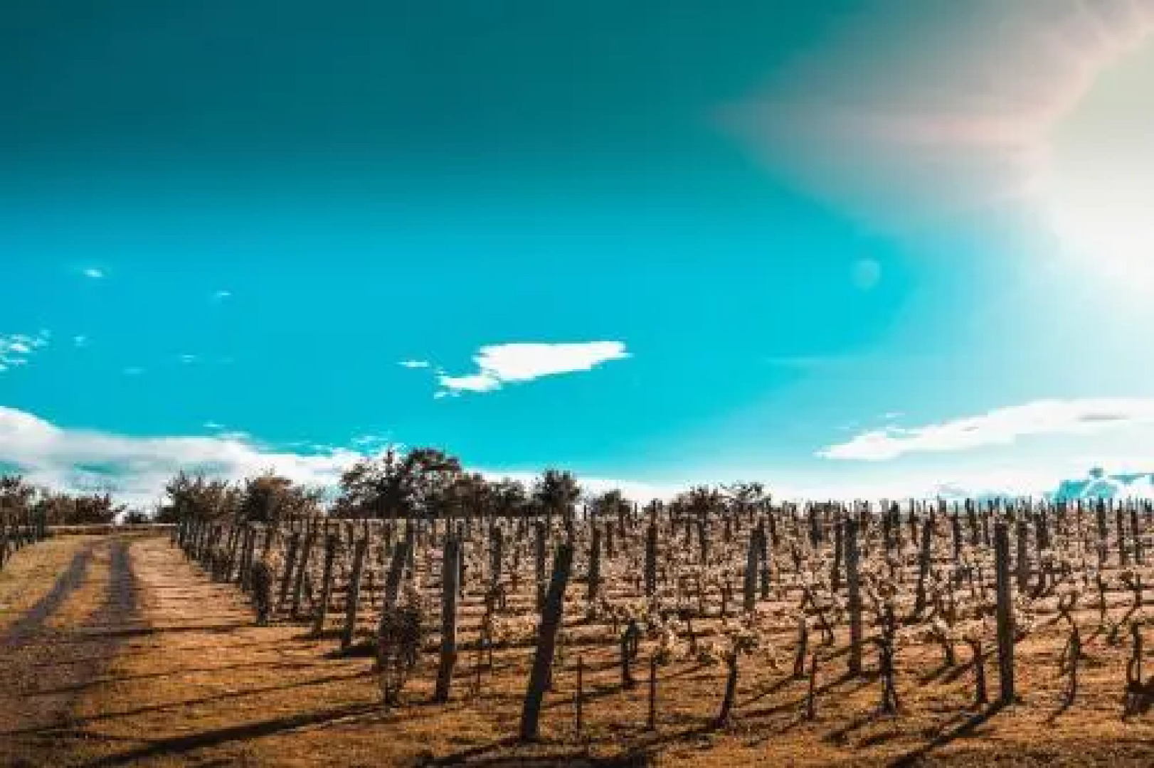 Ruralna Kuća Za Odmor Zajec