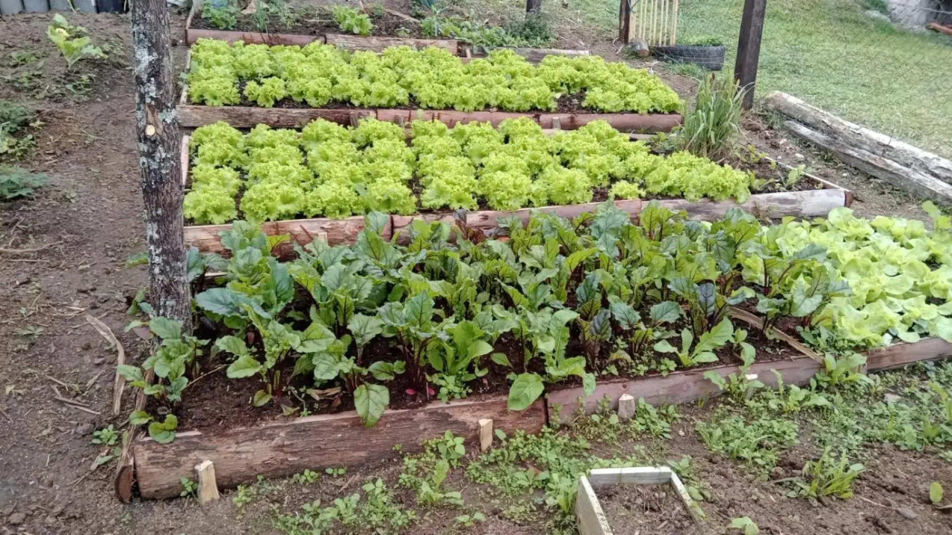 Rancho Pedra do Picú