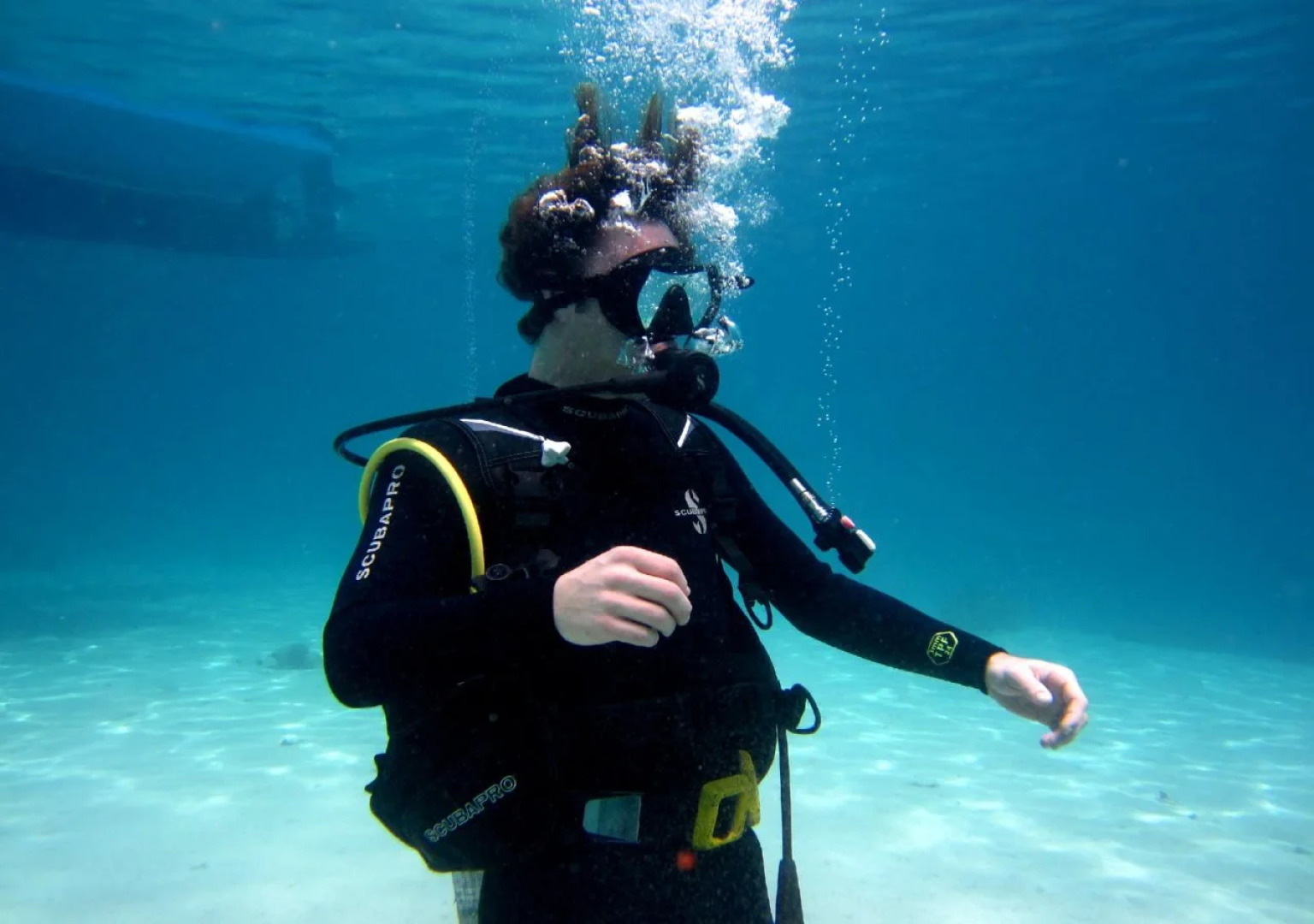 Made Taro - Menjangan Homestay