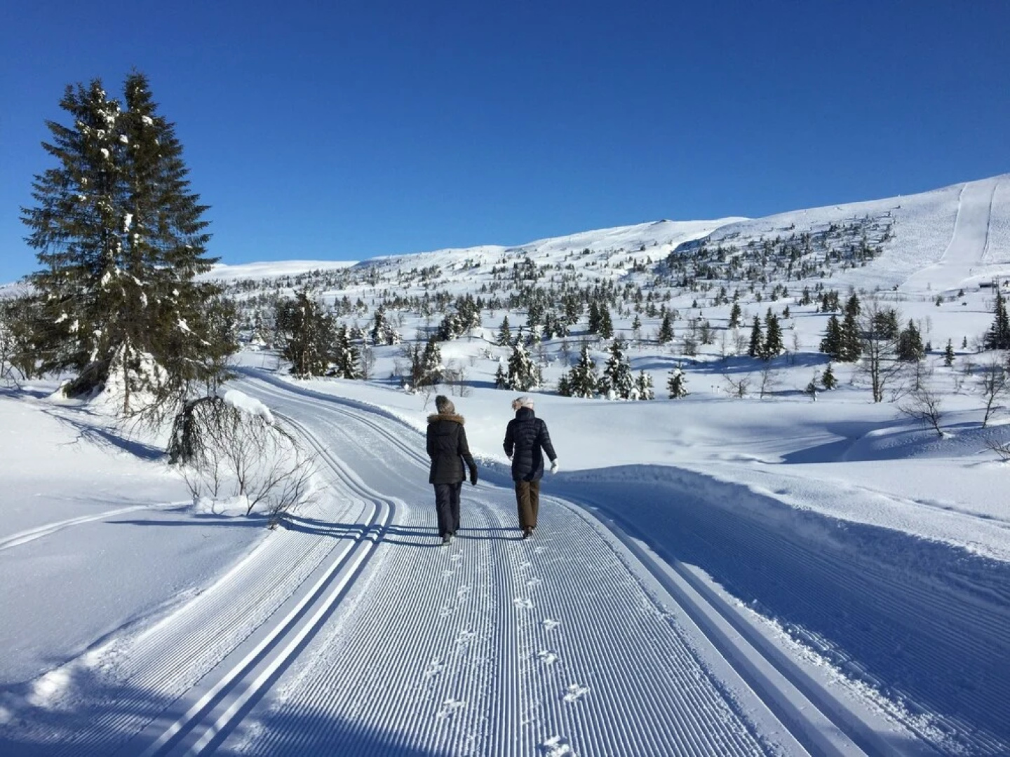 Skeikampen Booking