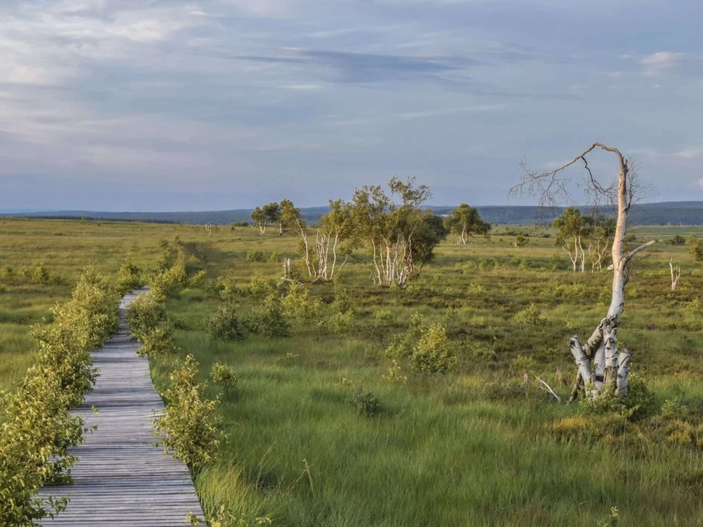 Apartment in Ondenval Near Malmedy