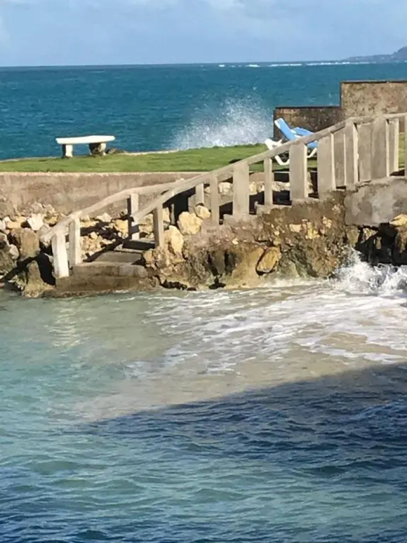 Sea 7