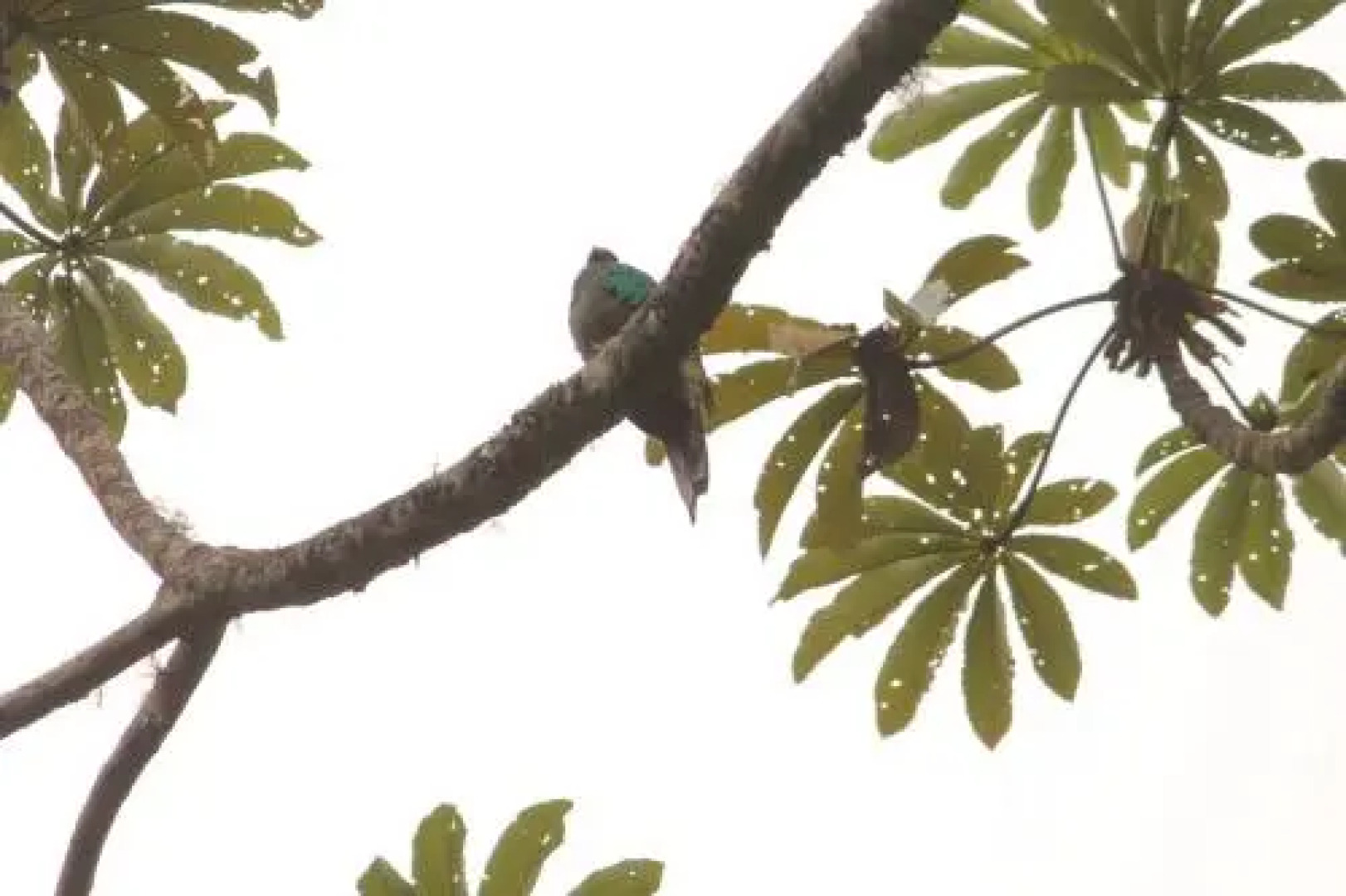 Ranchitos Del Quetzal - Parque Ecológico Gucumatz