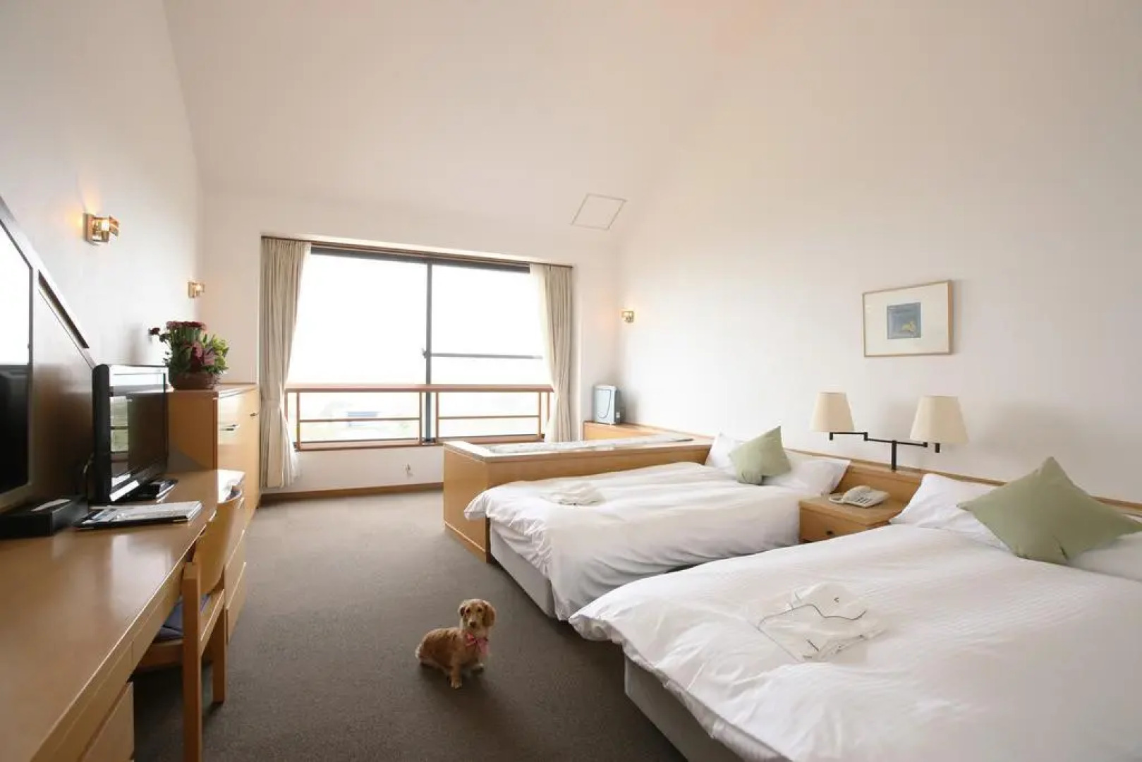 Pet to Tomaru Umibe No Hotel Caro Foresta Tateyama Diana