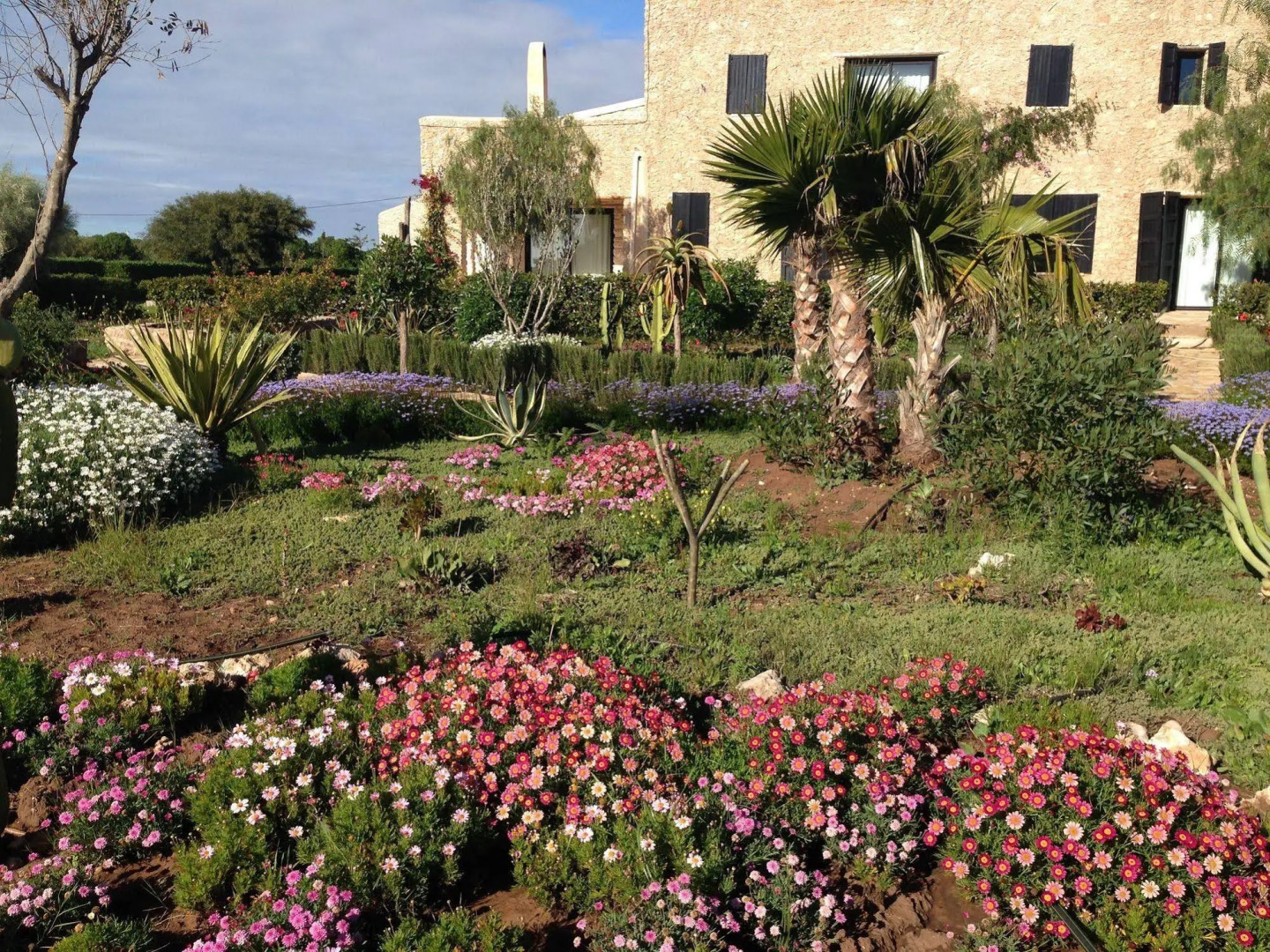 Le Douar des Arganiers