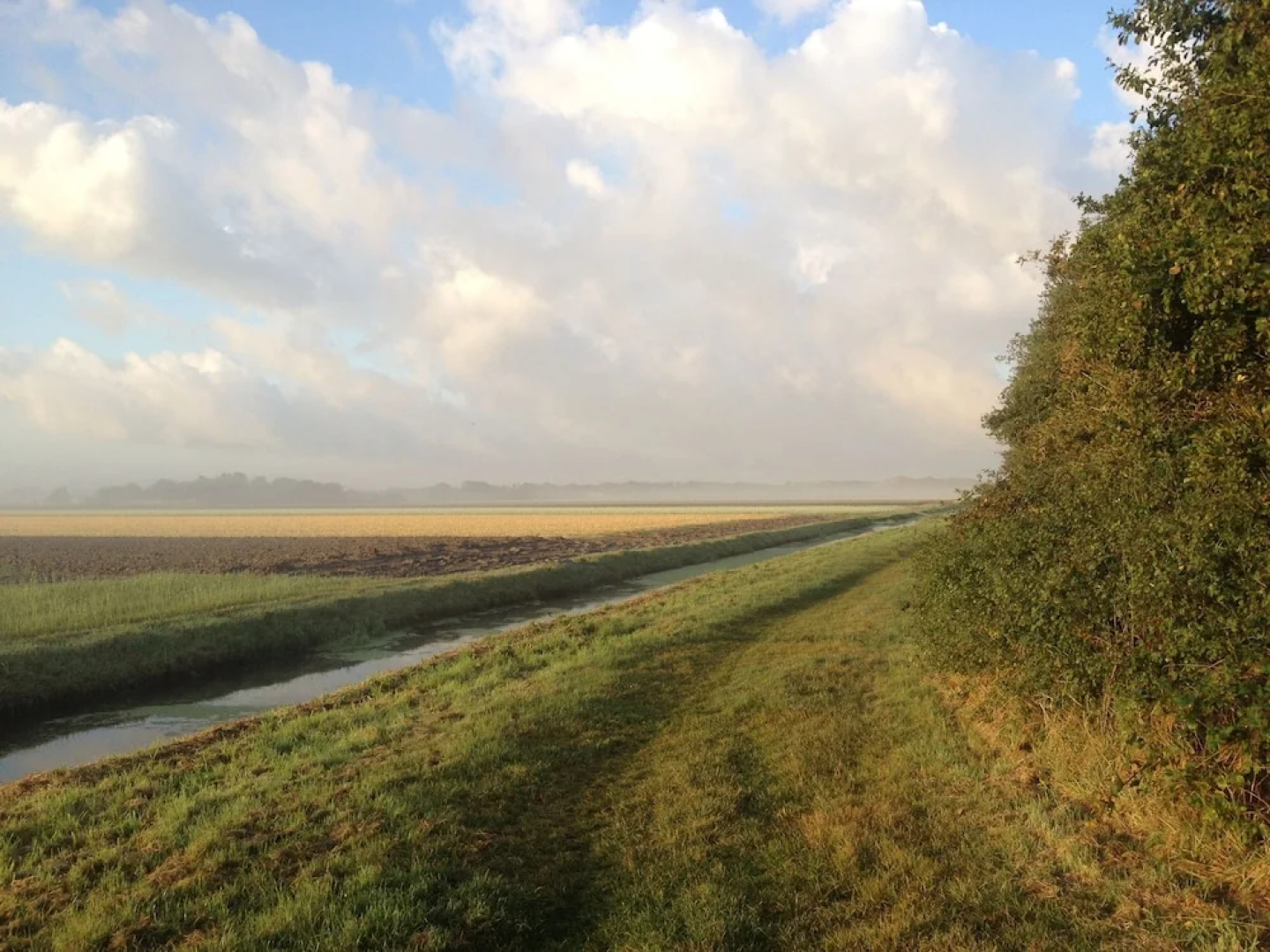 Cozy Holiday Home in Callantsoog with Private Garden