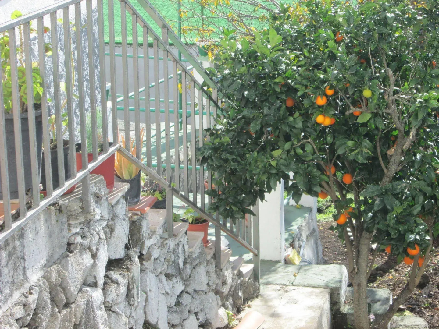 La Palma Hostel by Pension Central