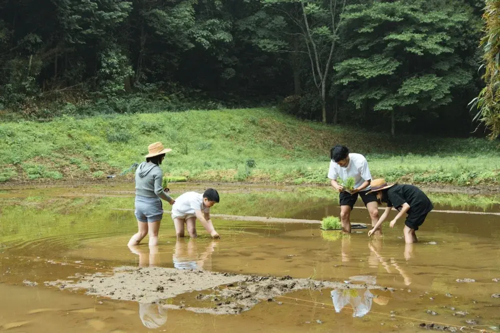 THE FARM Resort Japan