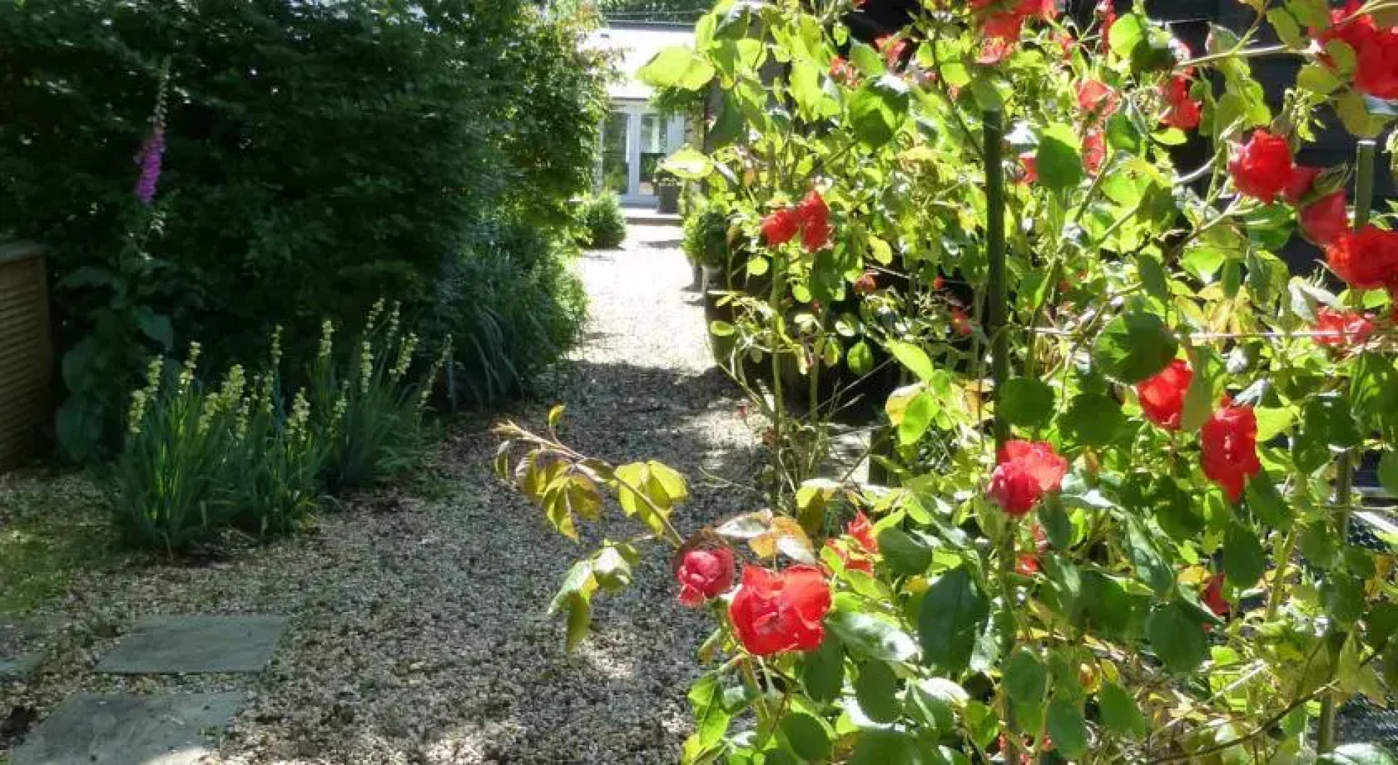 The Furze Cottage