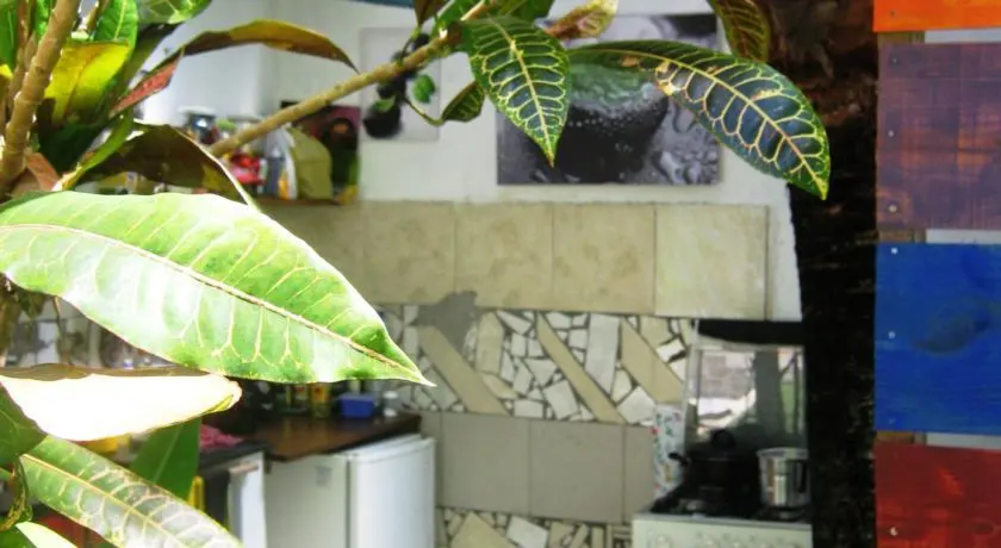 Mundo Mico Hostel