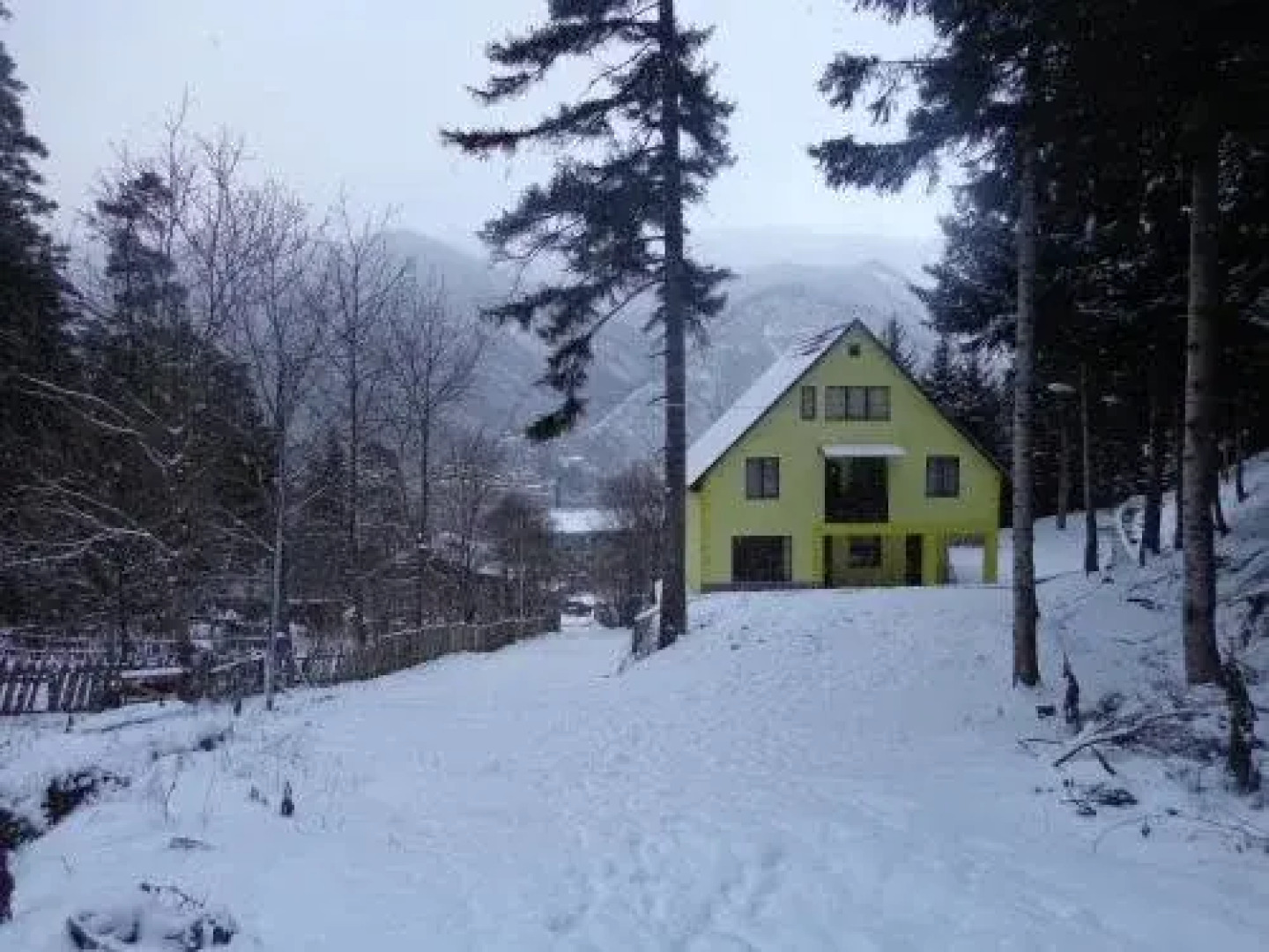 Guest House Borjomi Forest
