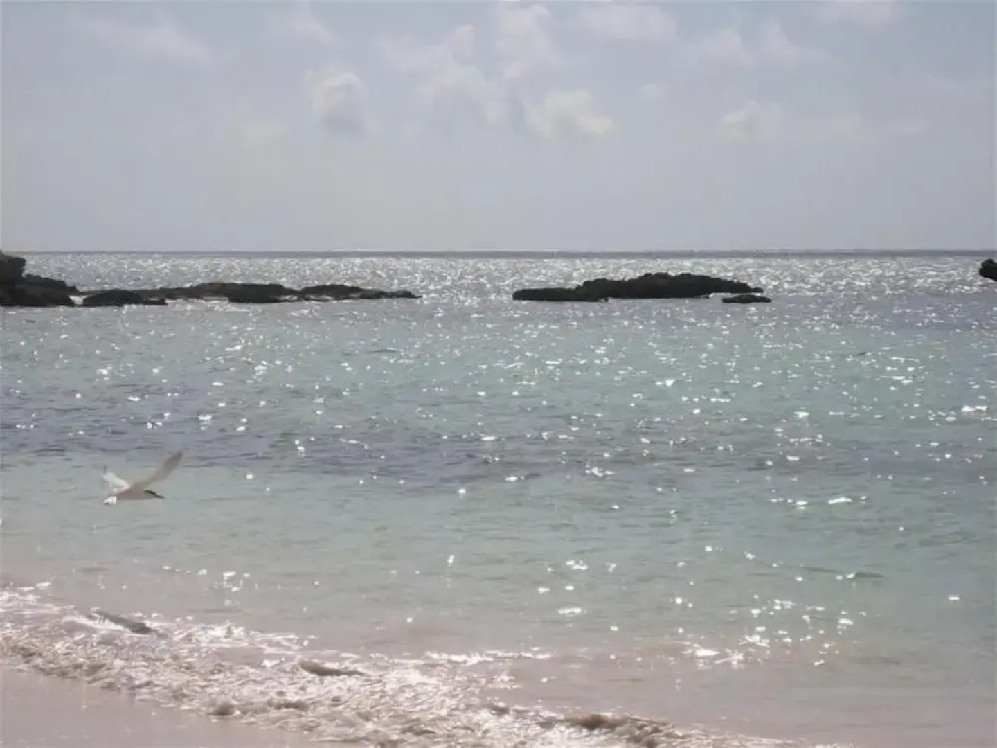 Tropical Hideaway: Charming Cottage Near Pink Sands Beach