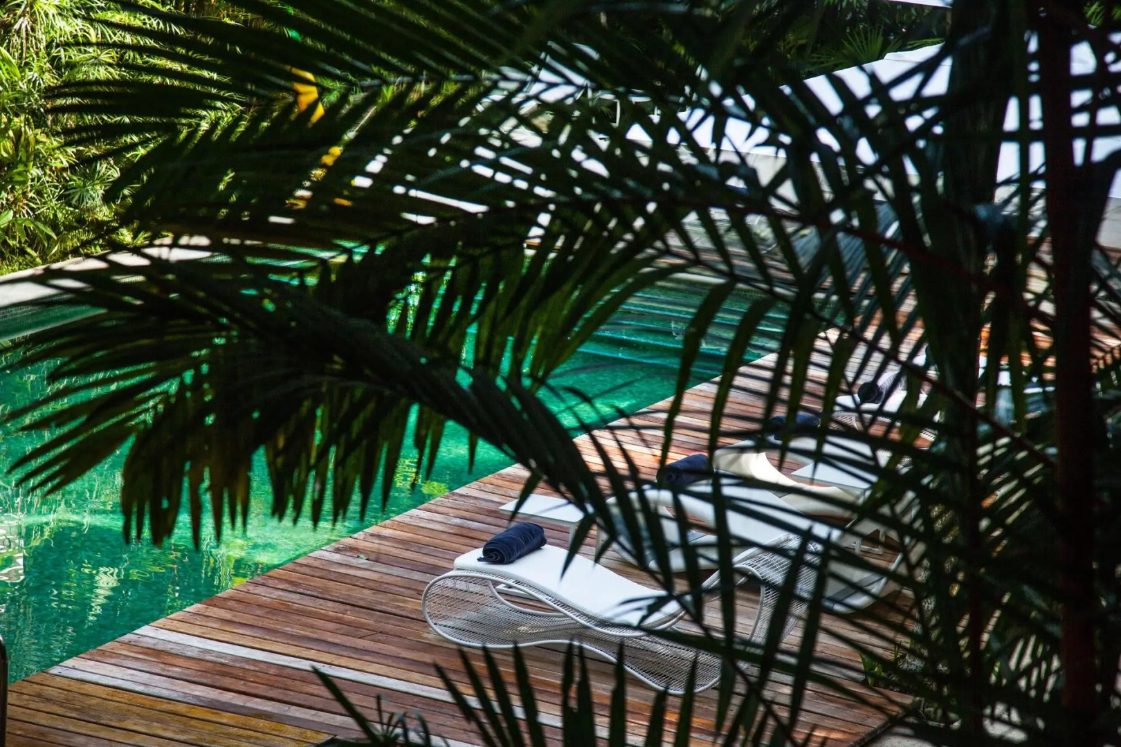 Le Cameleon Puerto Viejo