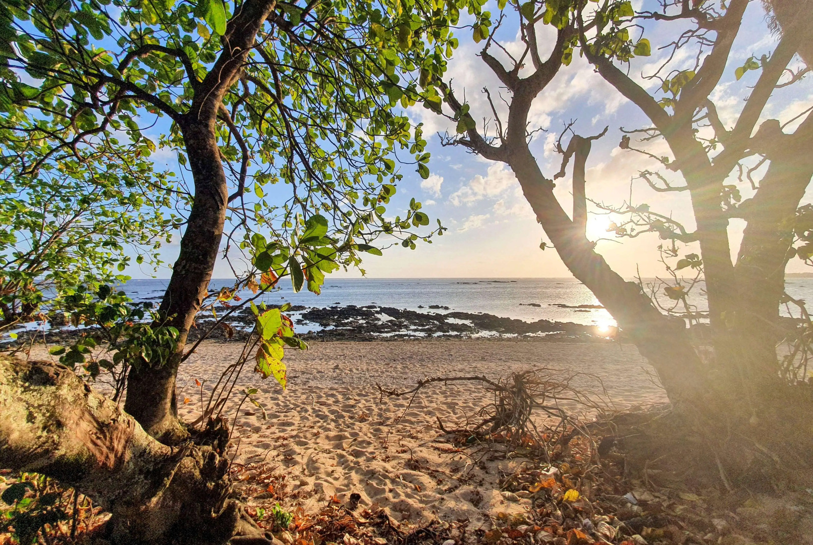 Ramada Suites By Wyndham Seafront Coral Coast