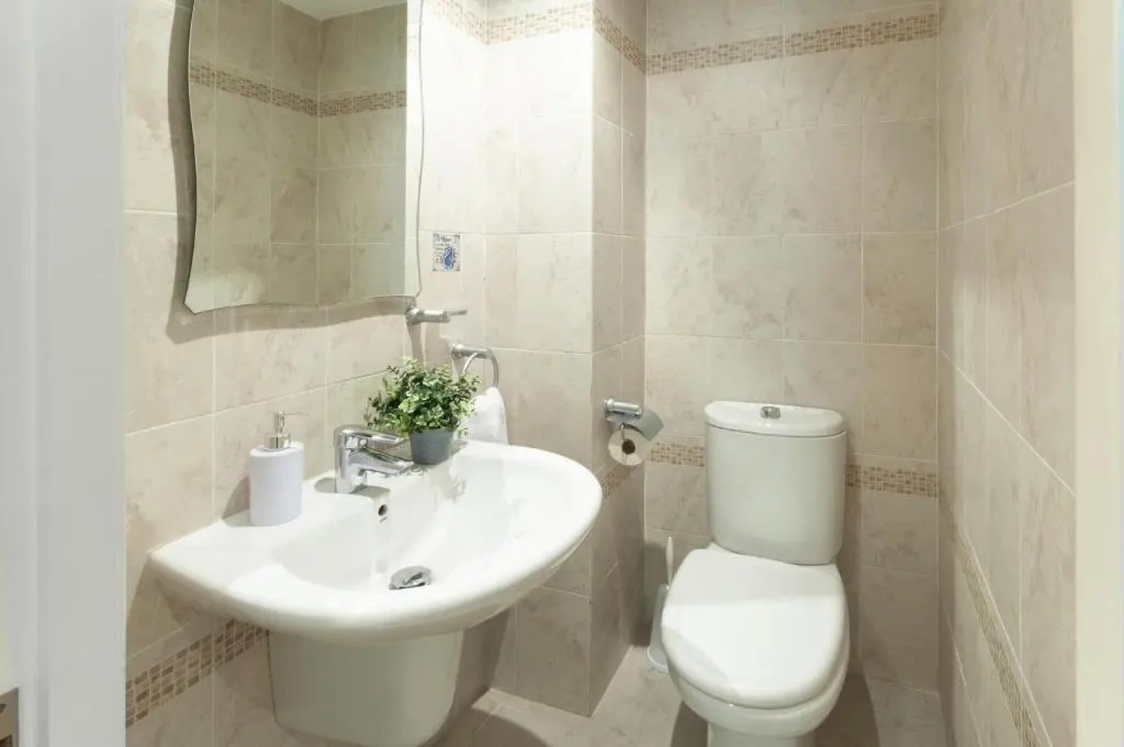 Ag Arena Suite Premium