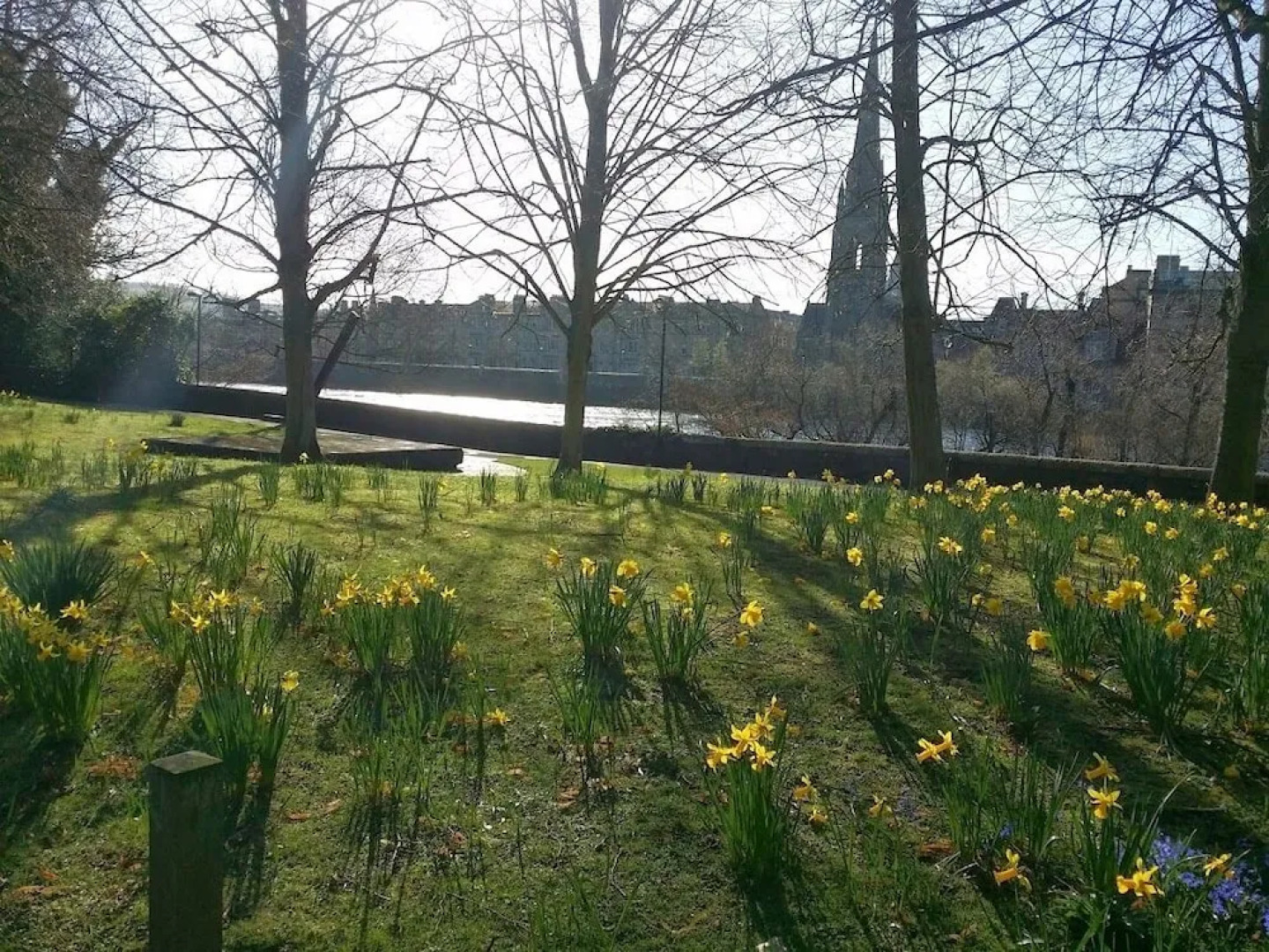 Tay Pearls - Tay Chambers Apartment