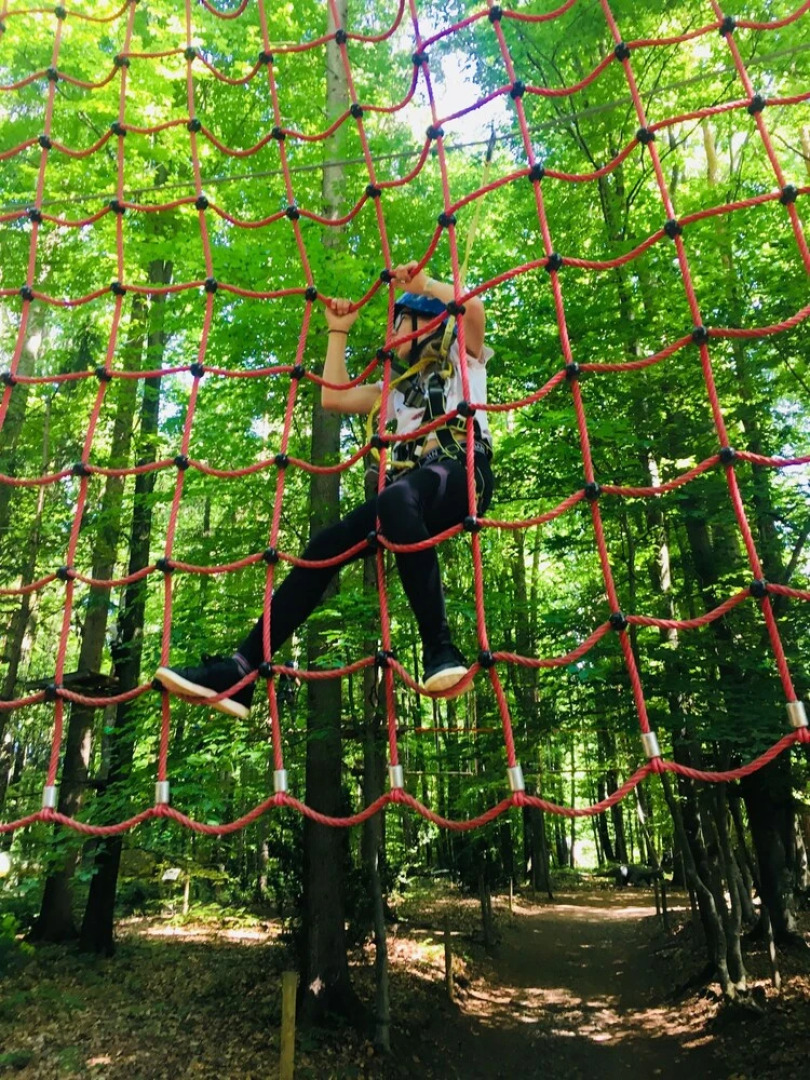 Baumhotel Styrassic Park