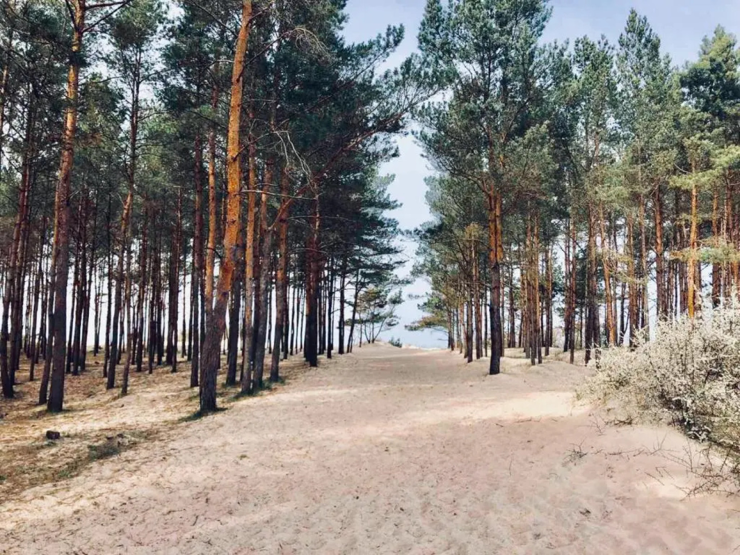 Ośrodek Sea Star Premium