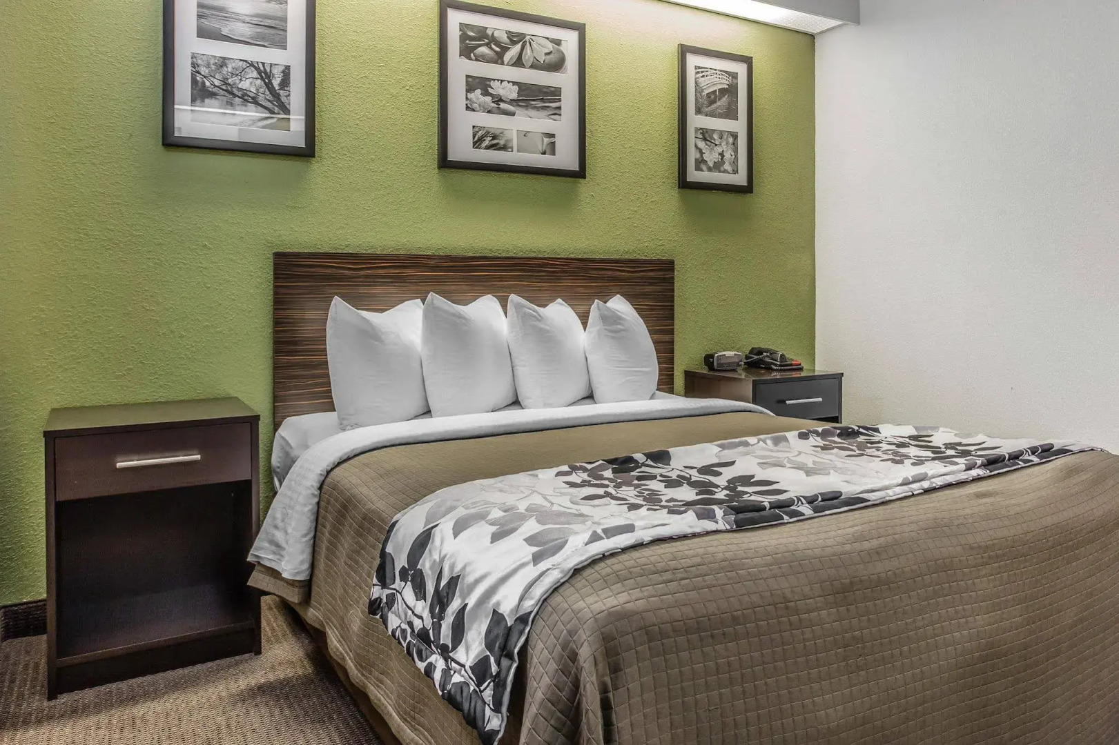 Sleep Inn at Greenville Convention Cente