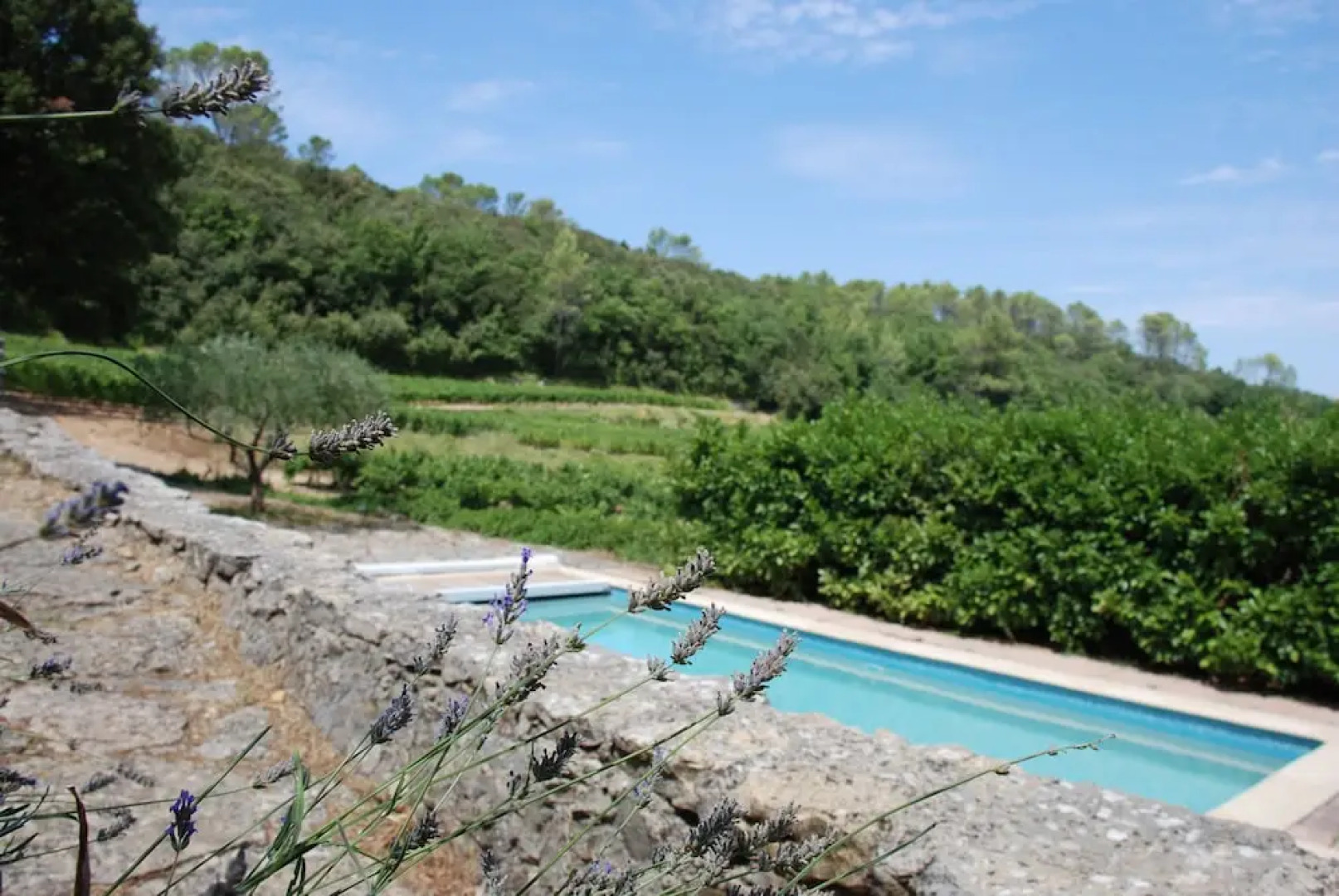 Le Domaine Saint Martin