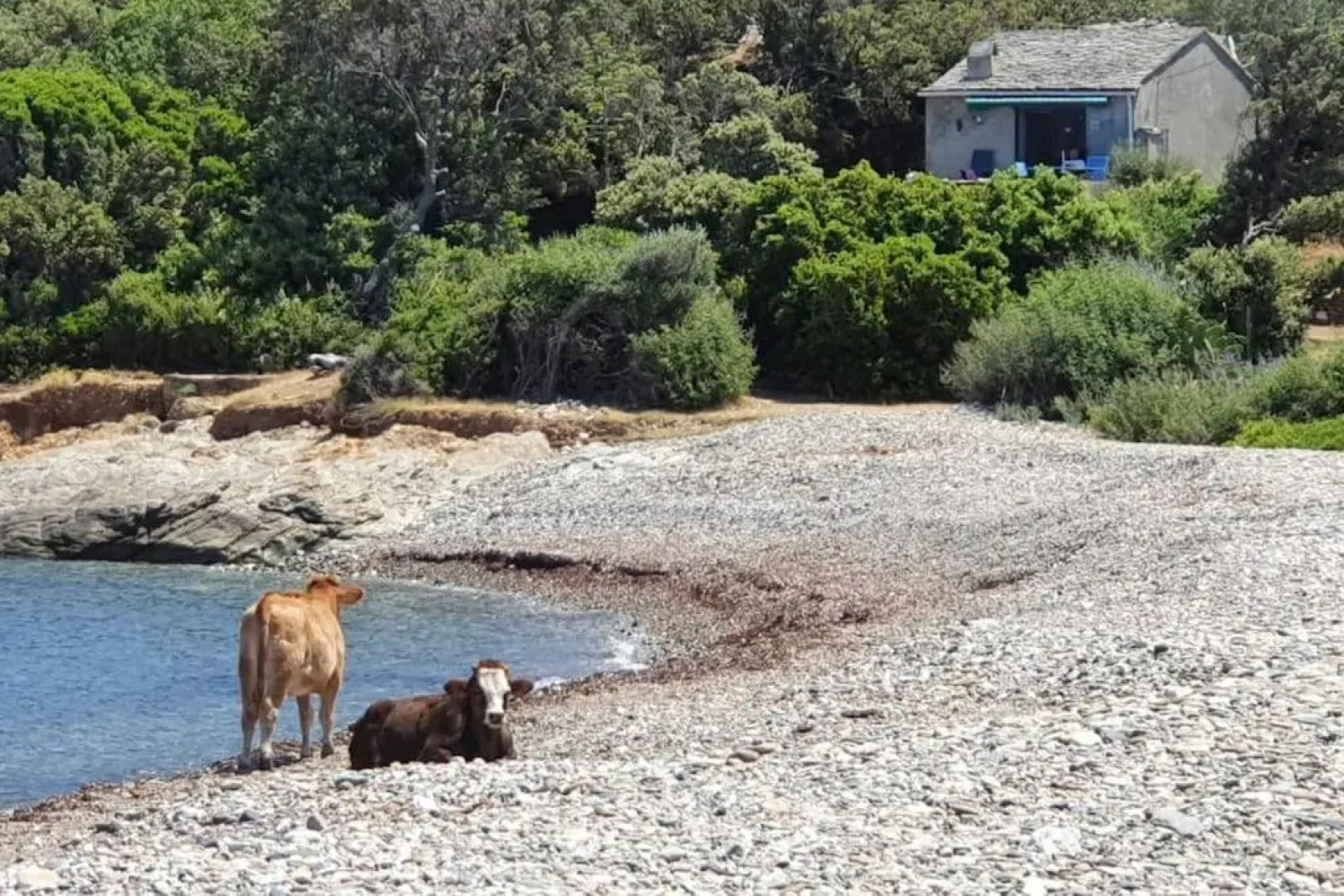 Rogliano Maison de charme avec vue panoramique