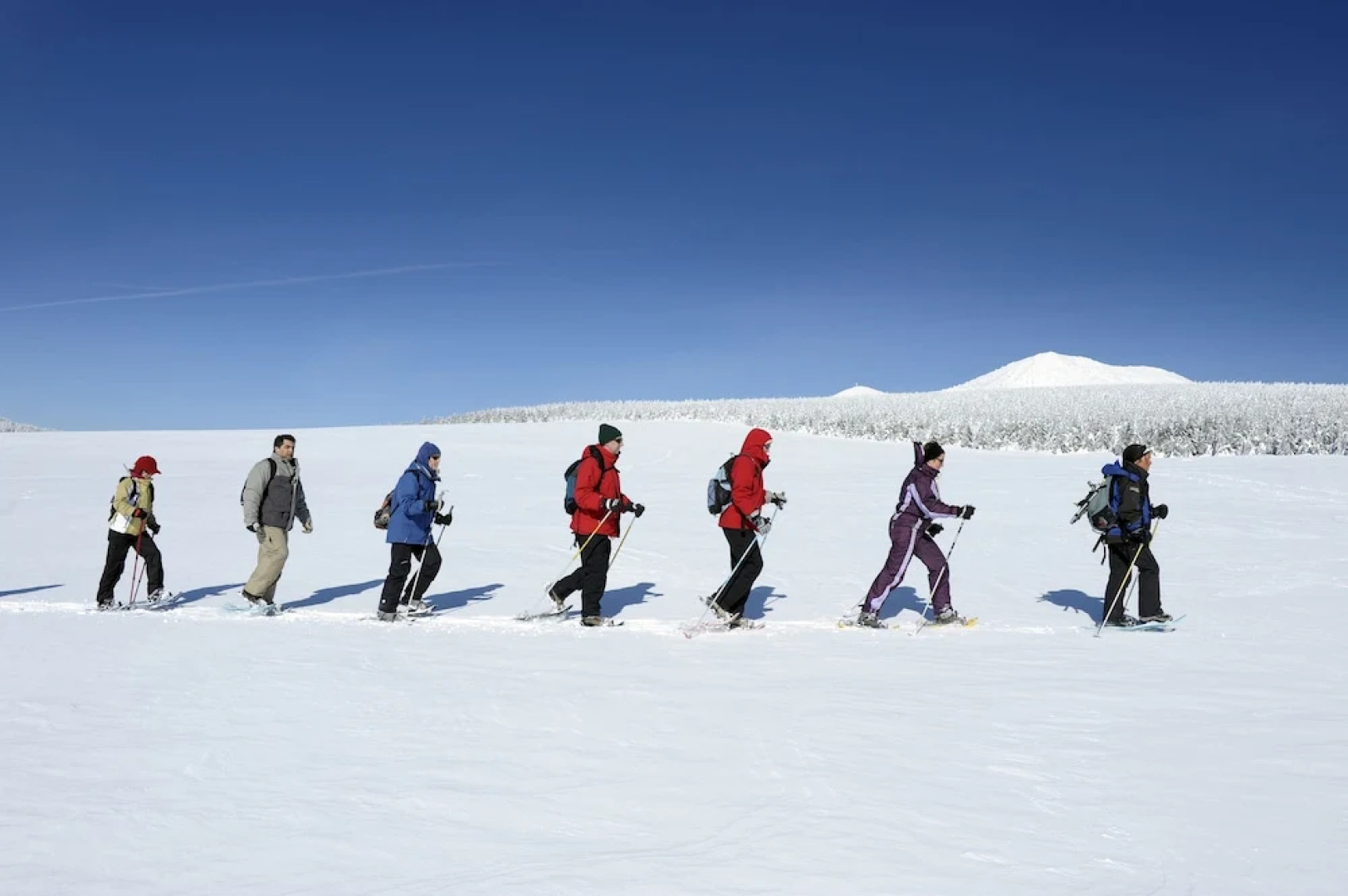 VVF Haute-Loire Les Estables