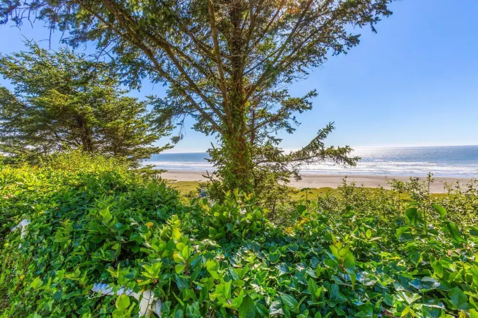 The Searise Cottage in Hoquiam