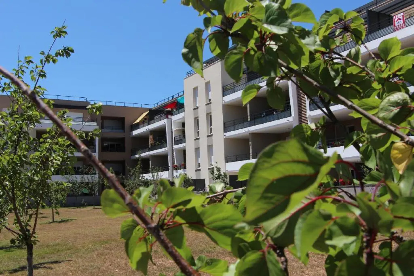 Appartement chic à Nouvelle Terre