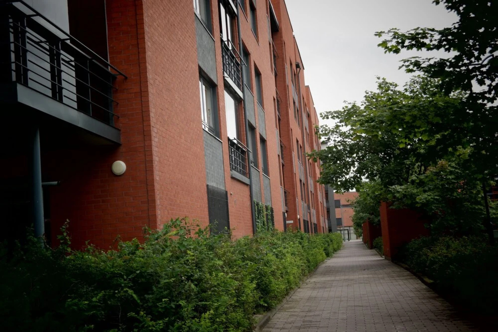 Local Nordic Apartments - Swan