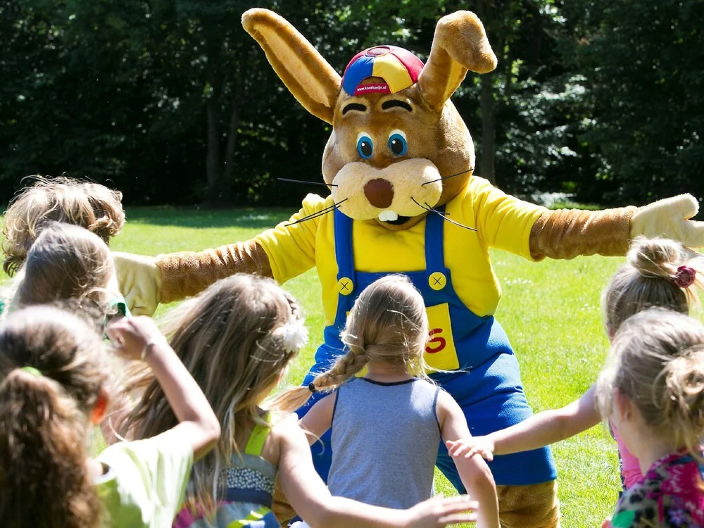 Traditional Villa With two Bathrooms on Texel Near the Sea