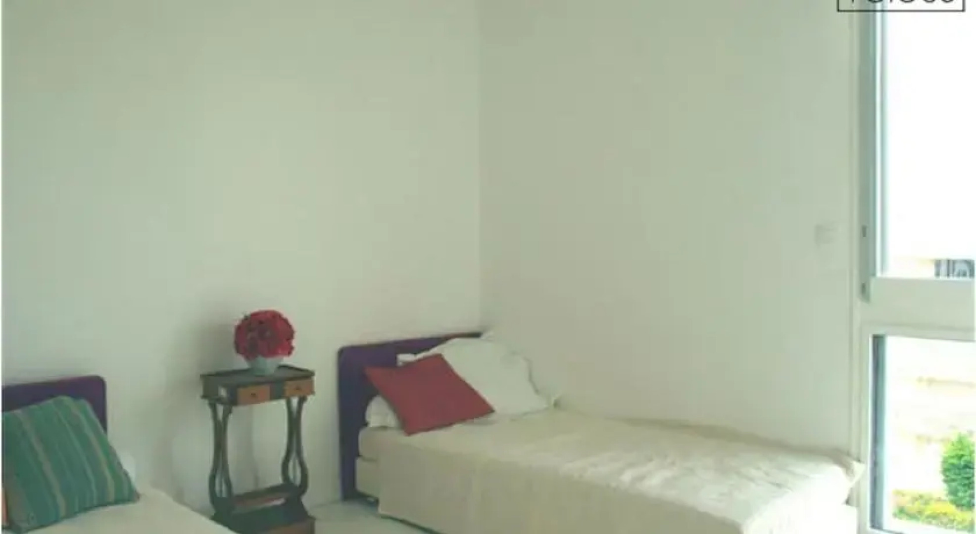 Cute Saint Malo and Bretagne Flat