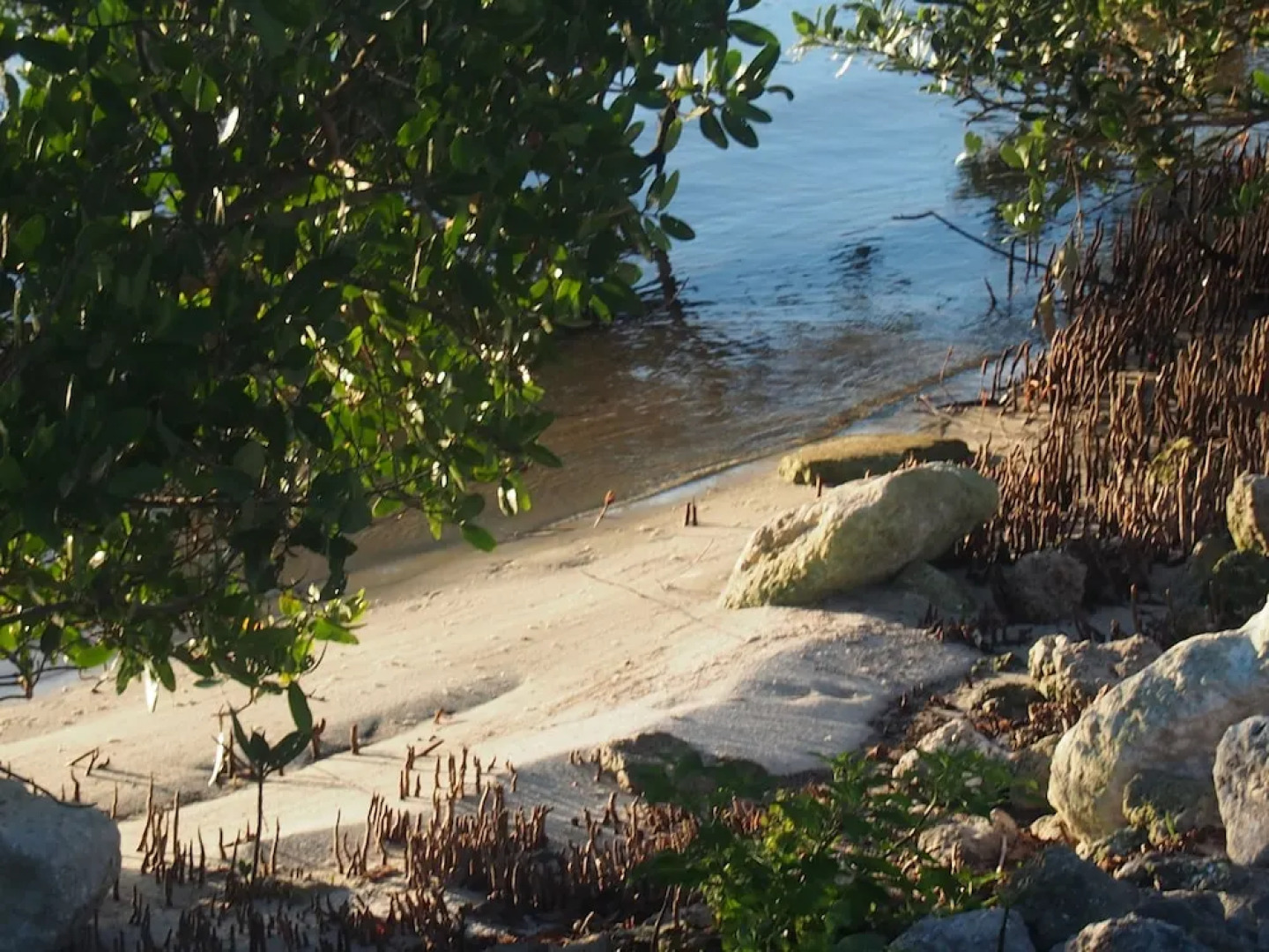 The Caribbean Court Boutique Hotel